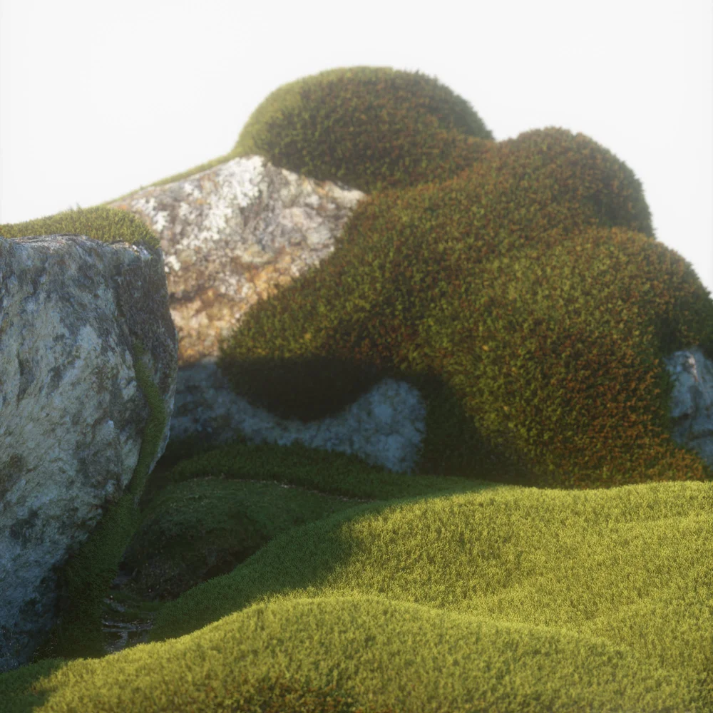 STILL LIFE & MOVING IMAGE ARCHIVE, image 41