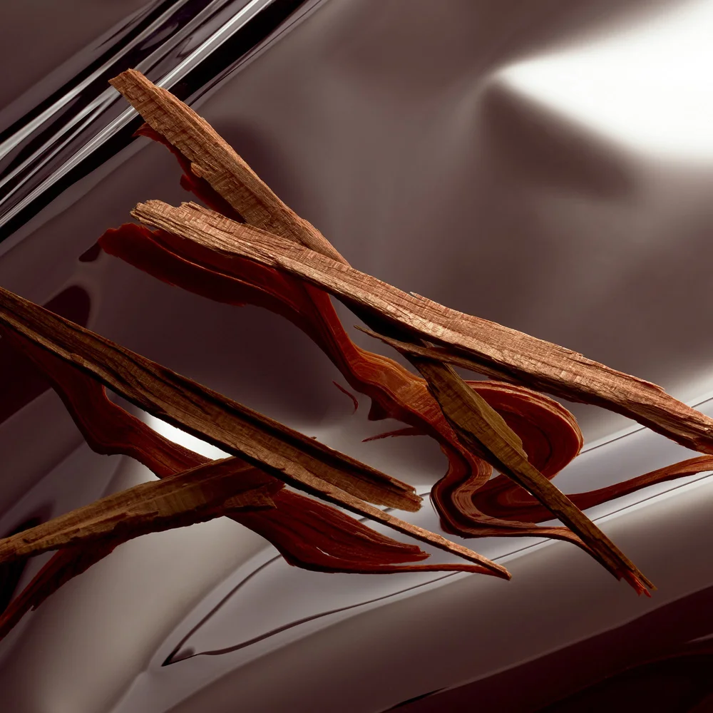 STILL LIFE & MOVING IMAGE ARCHIVE, image 11