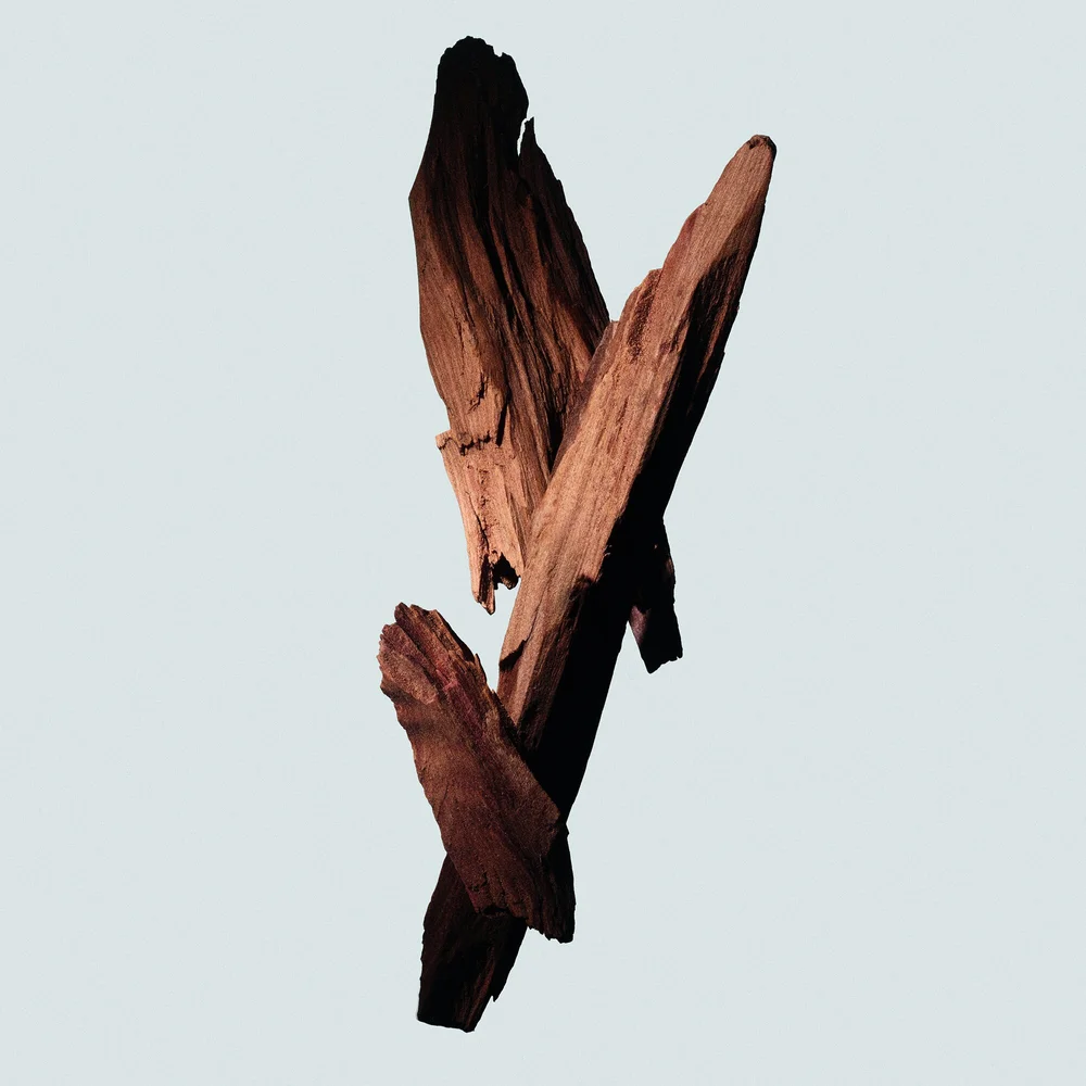 STILL LIFE & MOVING IMAGE ARCHIVE, image 6