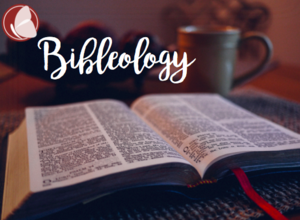 Bibleology 