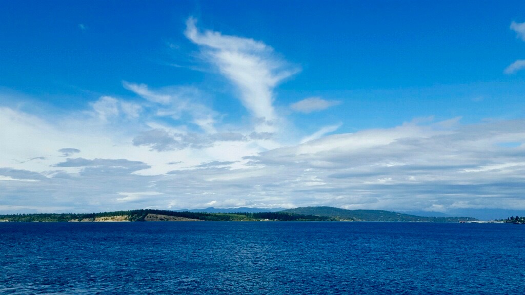 View from the ferry en route to San Juan Island, WA. 