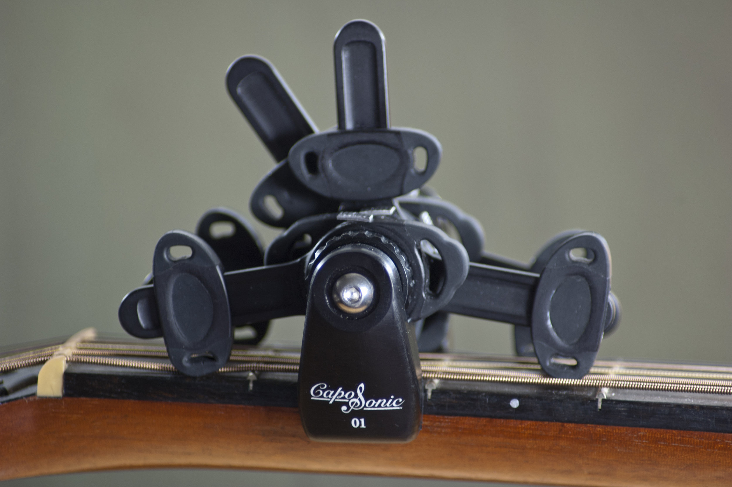 CapoSOnic SiDe View