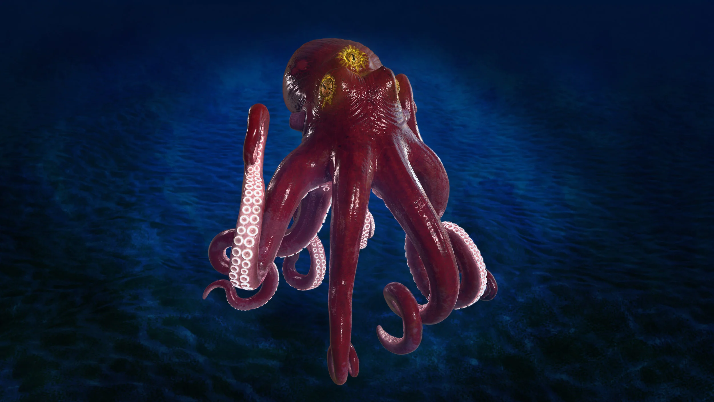 Octopus Render 01.jpg