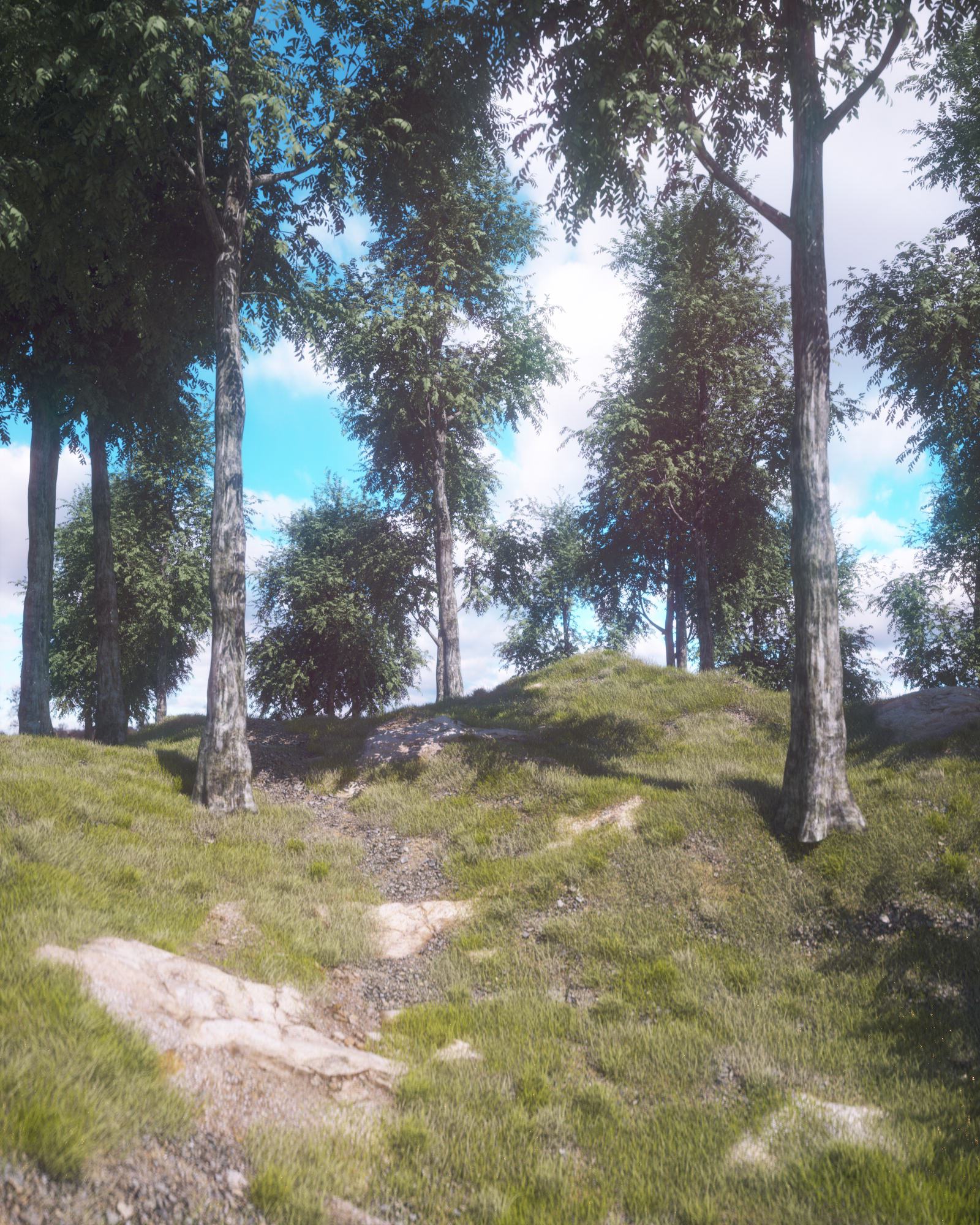 Forester Nature 01.png