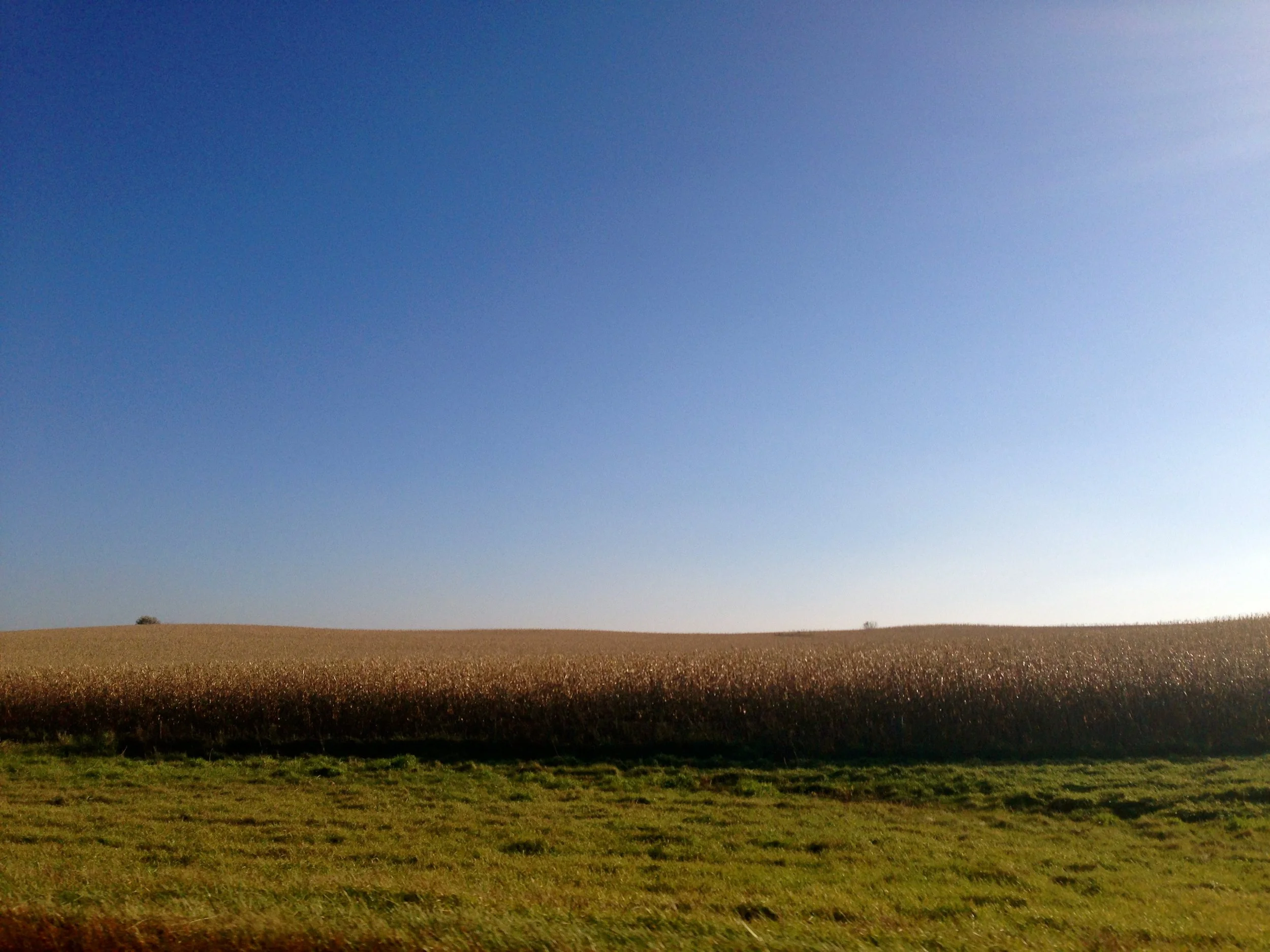 "When a Country Is a Metaphor"