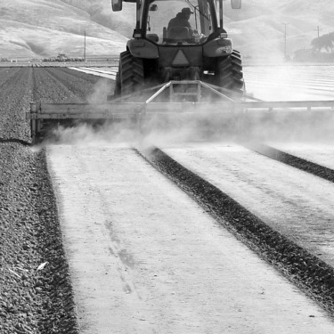 Vegetable Power Mulcher