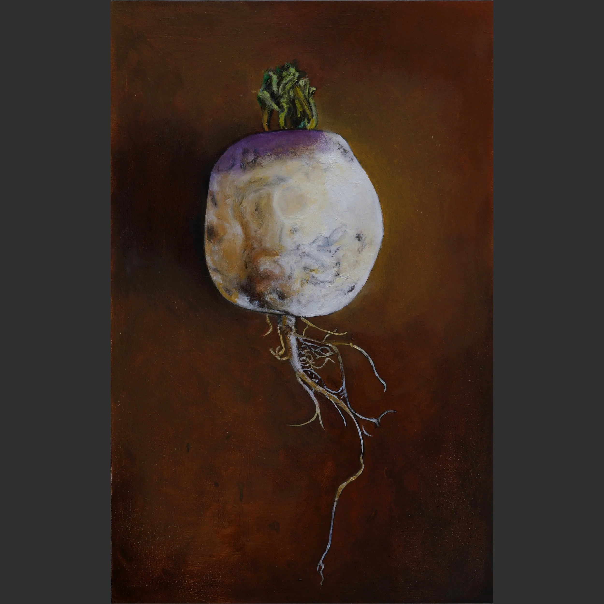 Purple Top Turnip