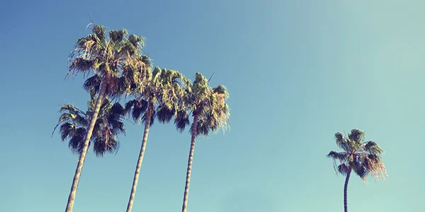 The Fastest Way to Leave Your Day Job and Pursue Your Hollywood Dream Full Time