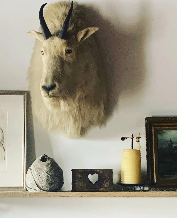 image_6487327 (2).JPG