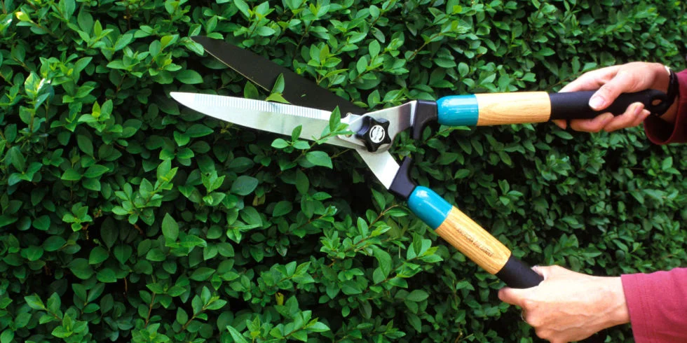 shears.jpg