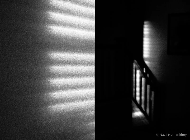 Harsh Afternoon Light - First Place