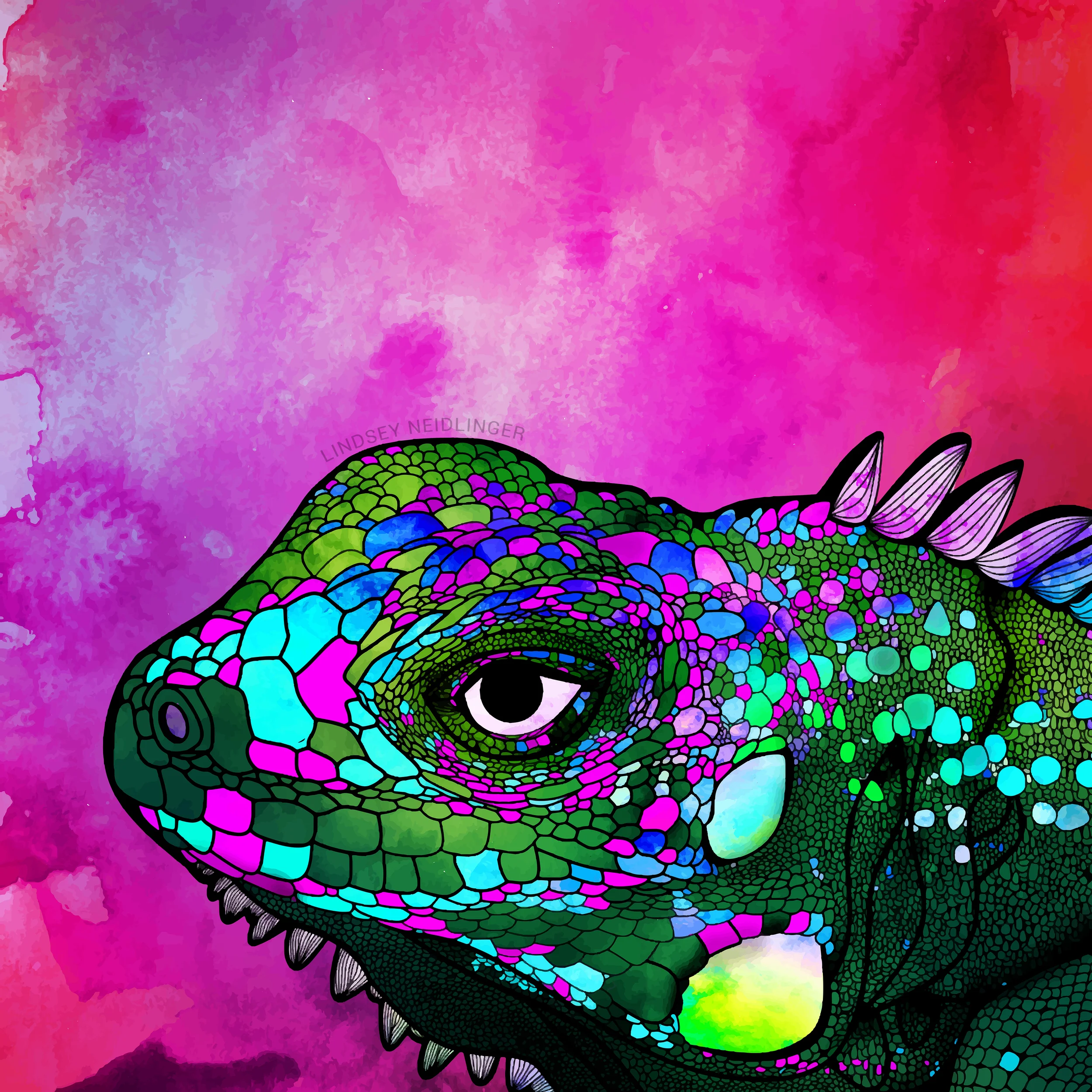 Iguana (RESIZED w WATERMARK).jpg
