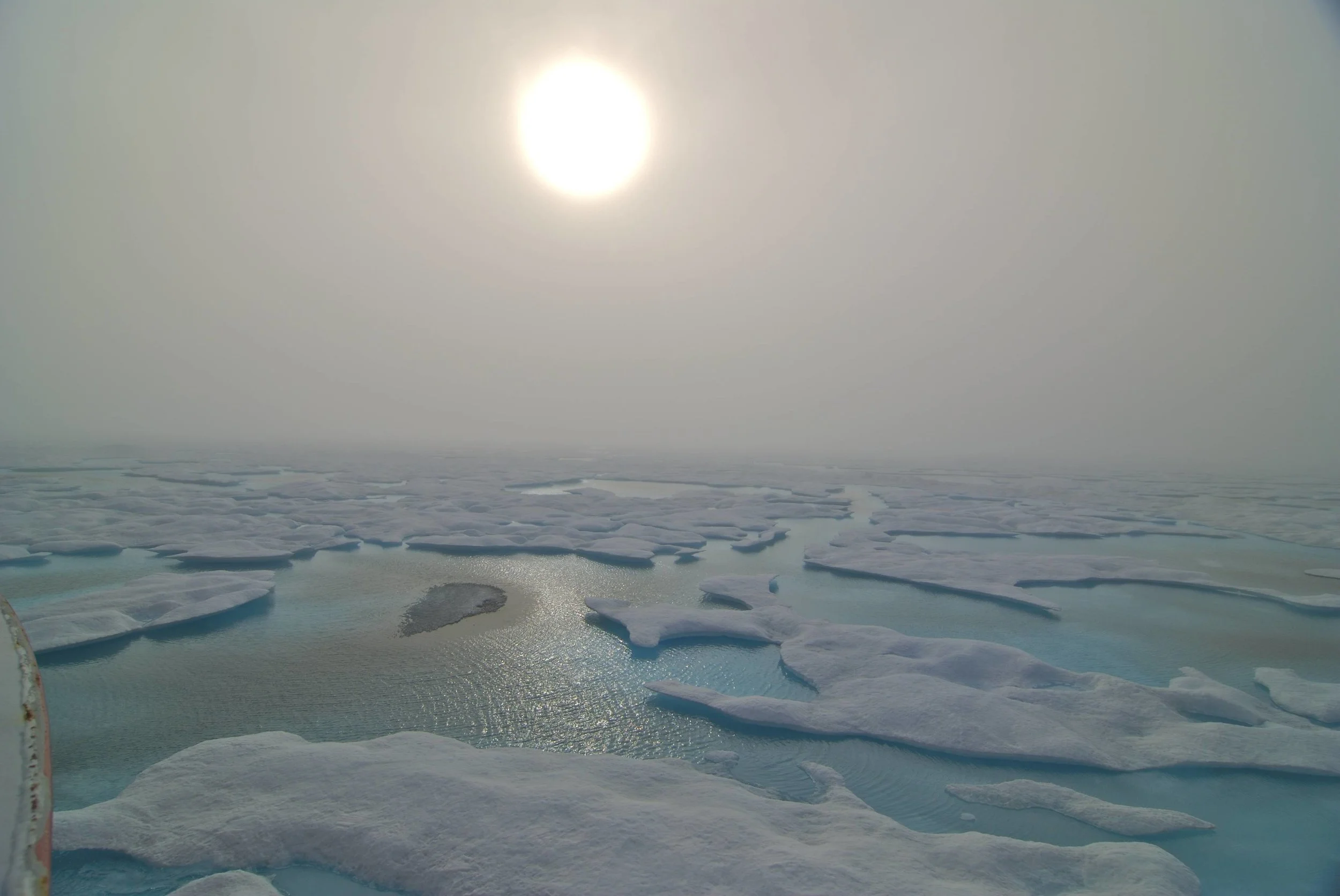 Dickens, JFK and Cannibalism: The Franklin Expedition and Aberdeen