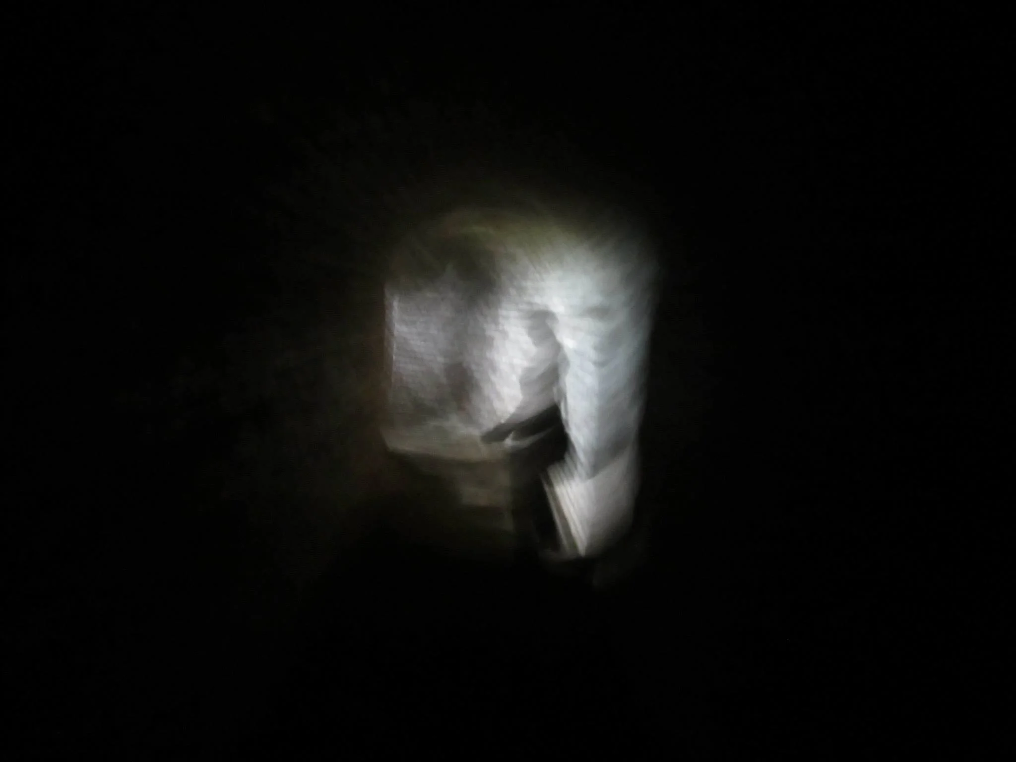 Crime Pays Tour: Dark History in Aberdeen