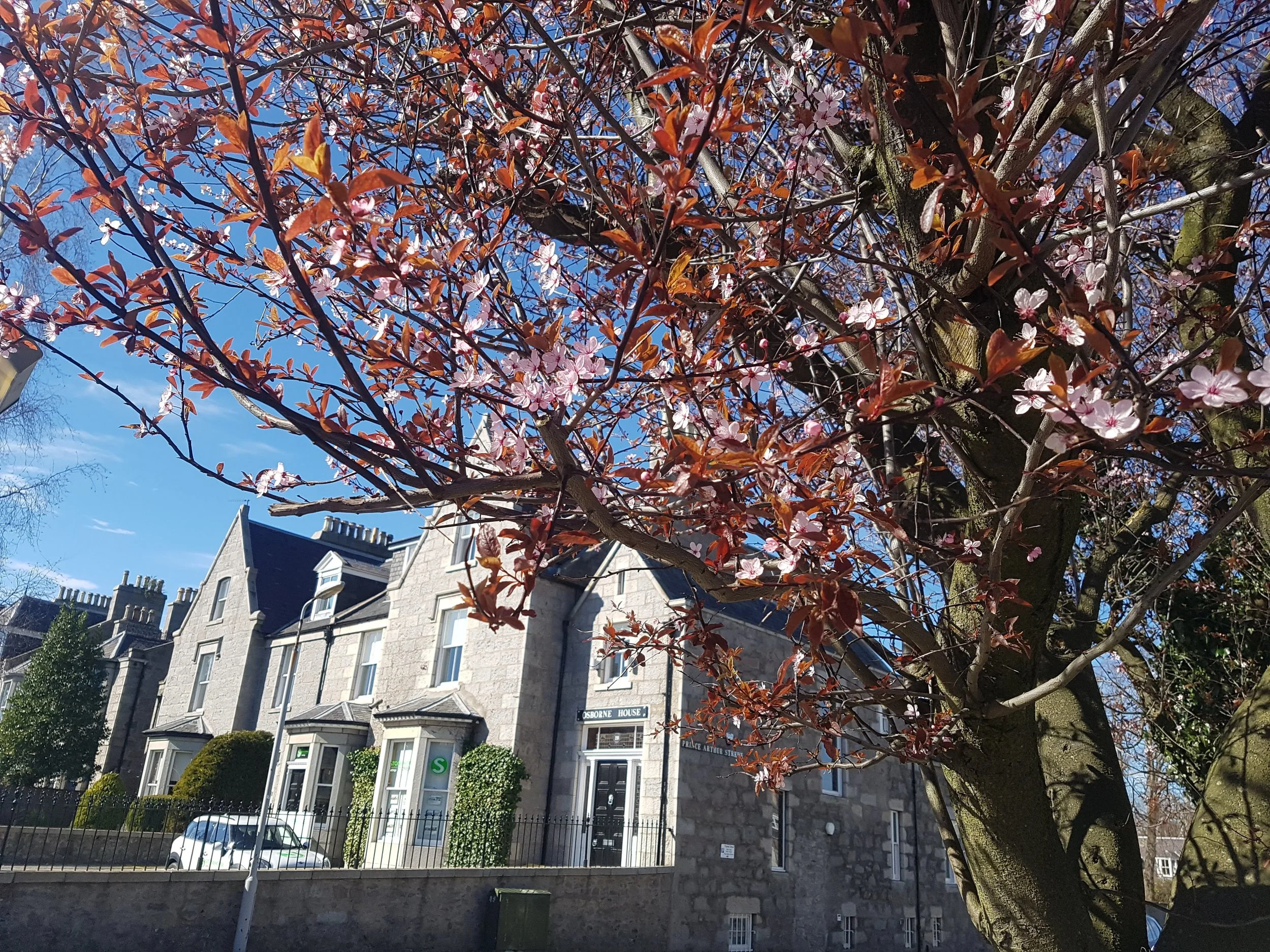 20170325_130541.jpg