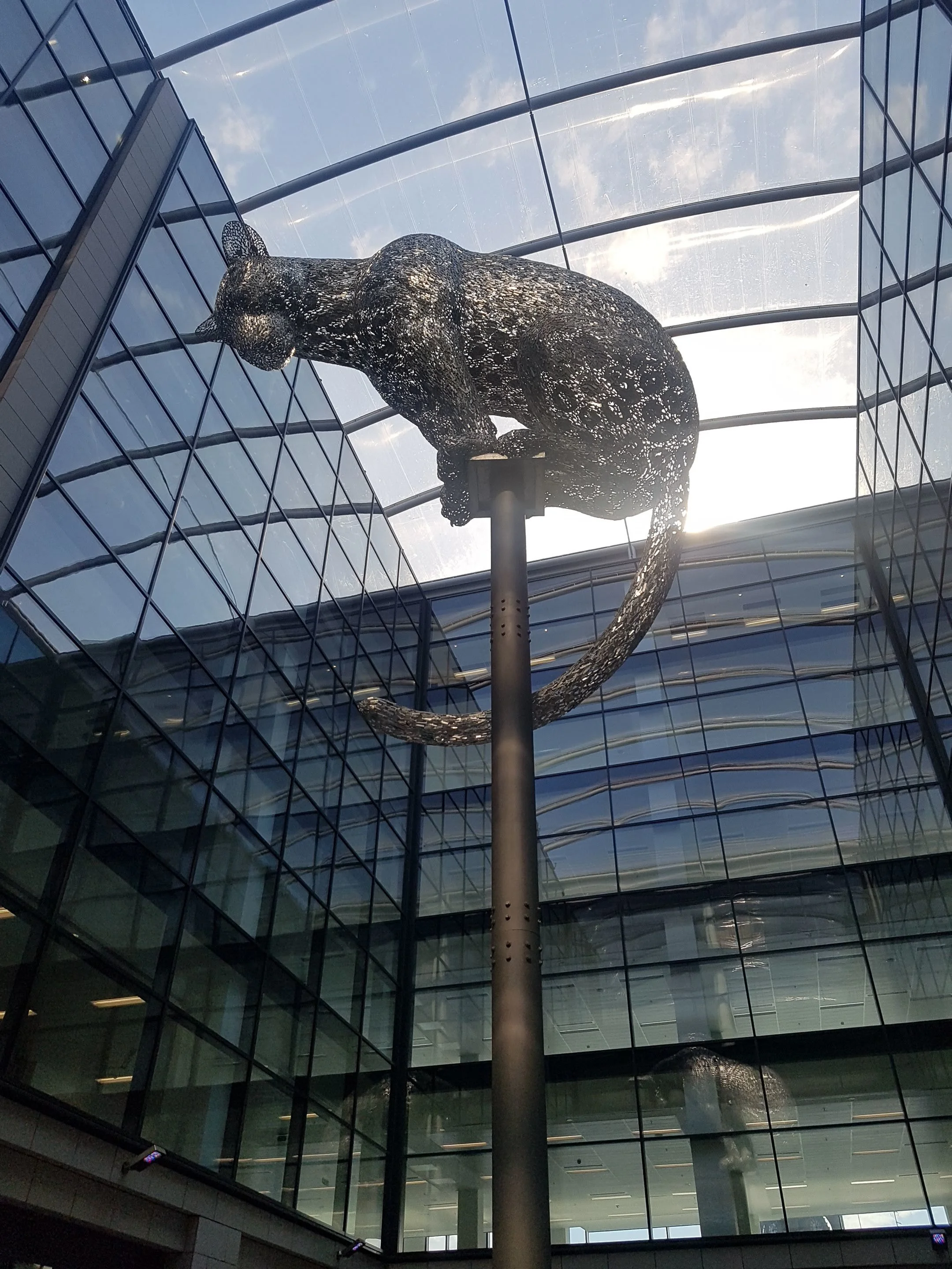 20180508_150232.jpg