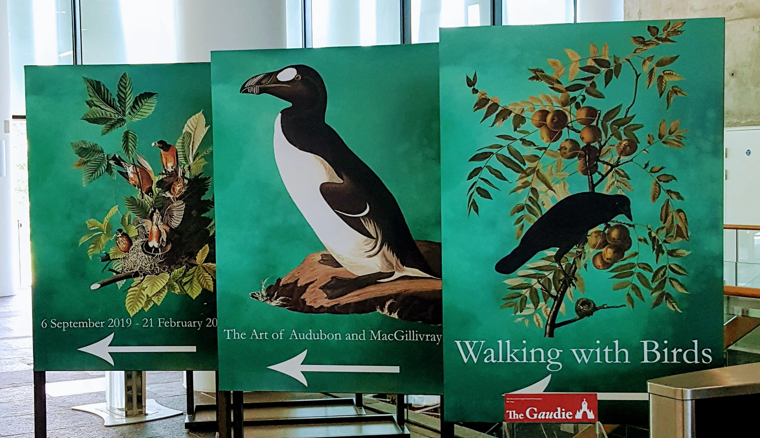 Review: Walking with Birds - The Art of Audubon and MacGillivray