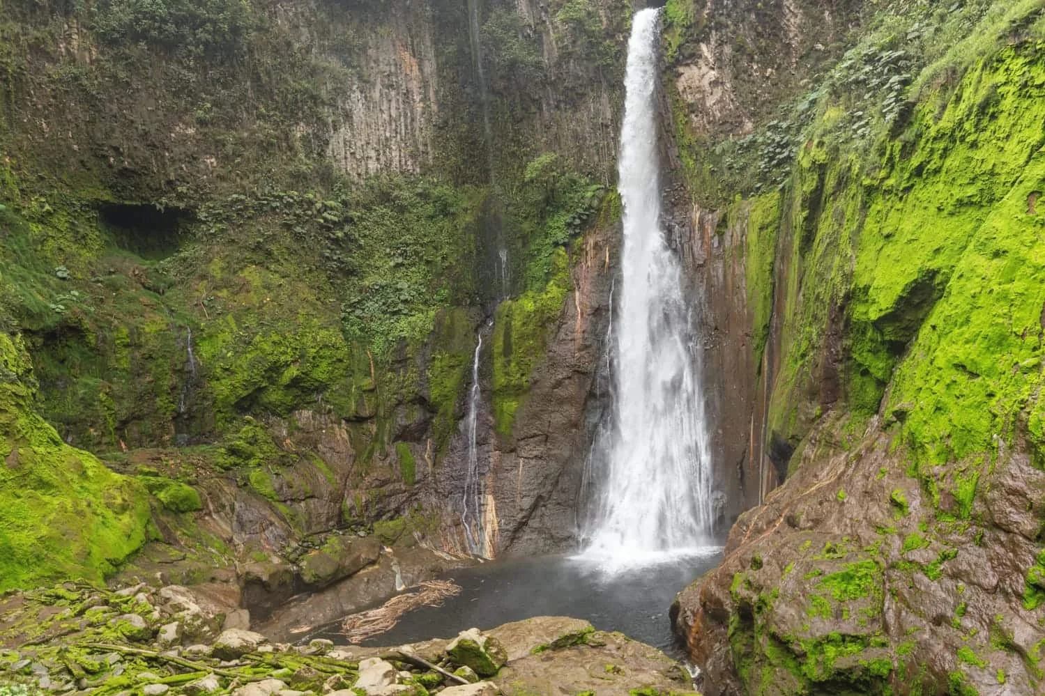 Catarata del Toro Waterfall (Bulls Waterfall) in Bajos del Toro is a great site for wedding photos and sightseeing. It's a short drive El Silencio Lodge & Spa - an excellent location for a cloud forest waterfall-themed wedding.