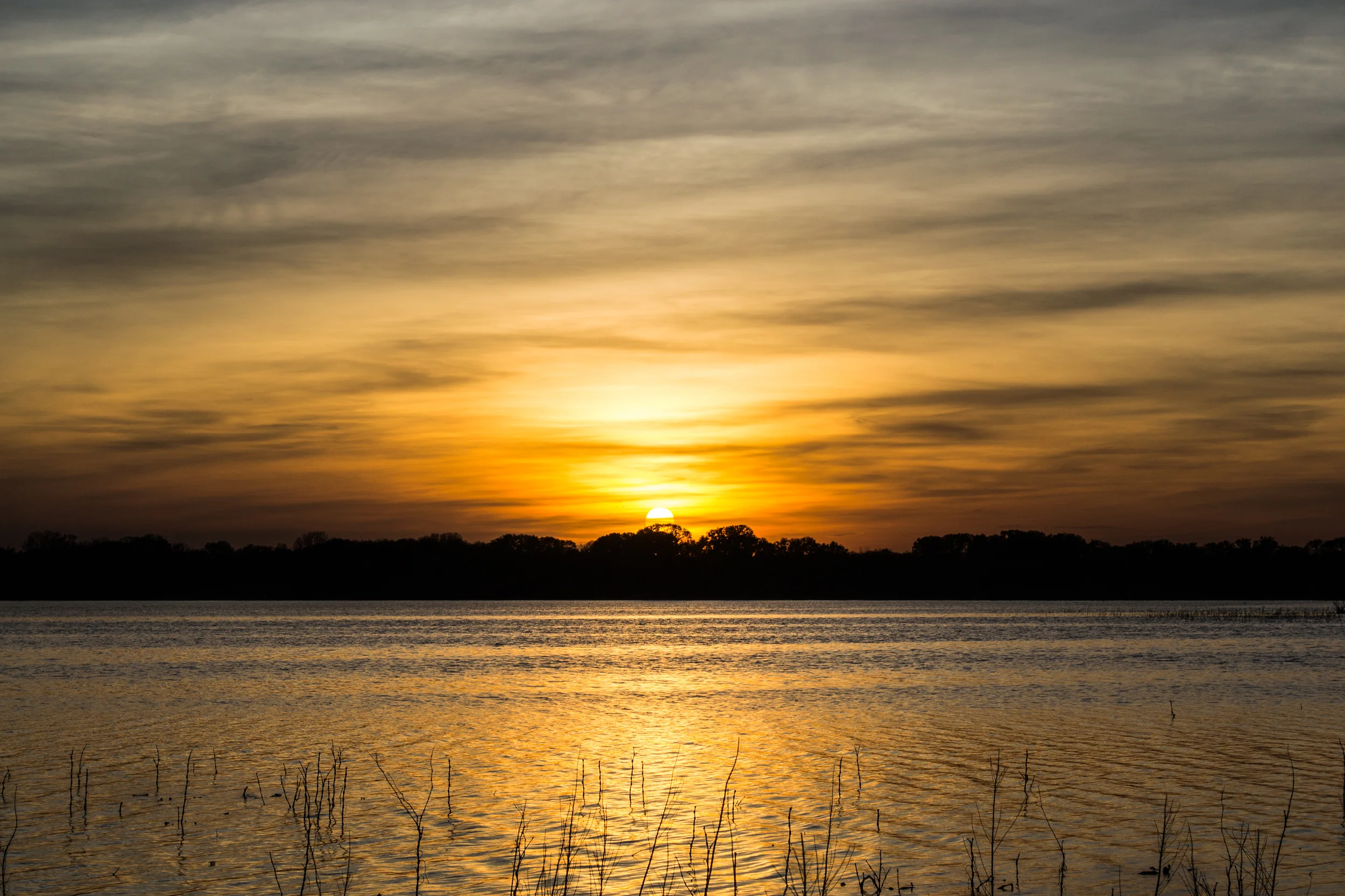 Sunset2013-30.jpg