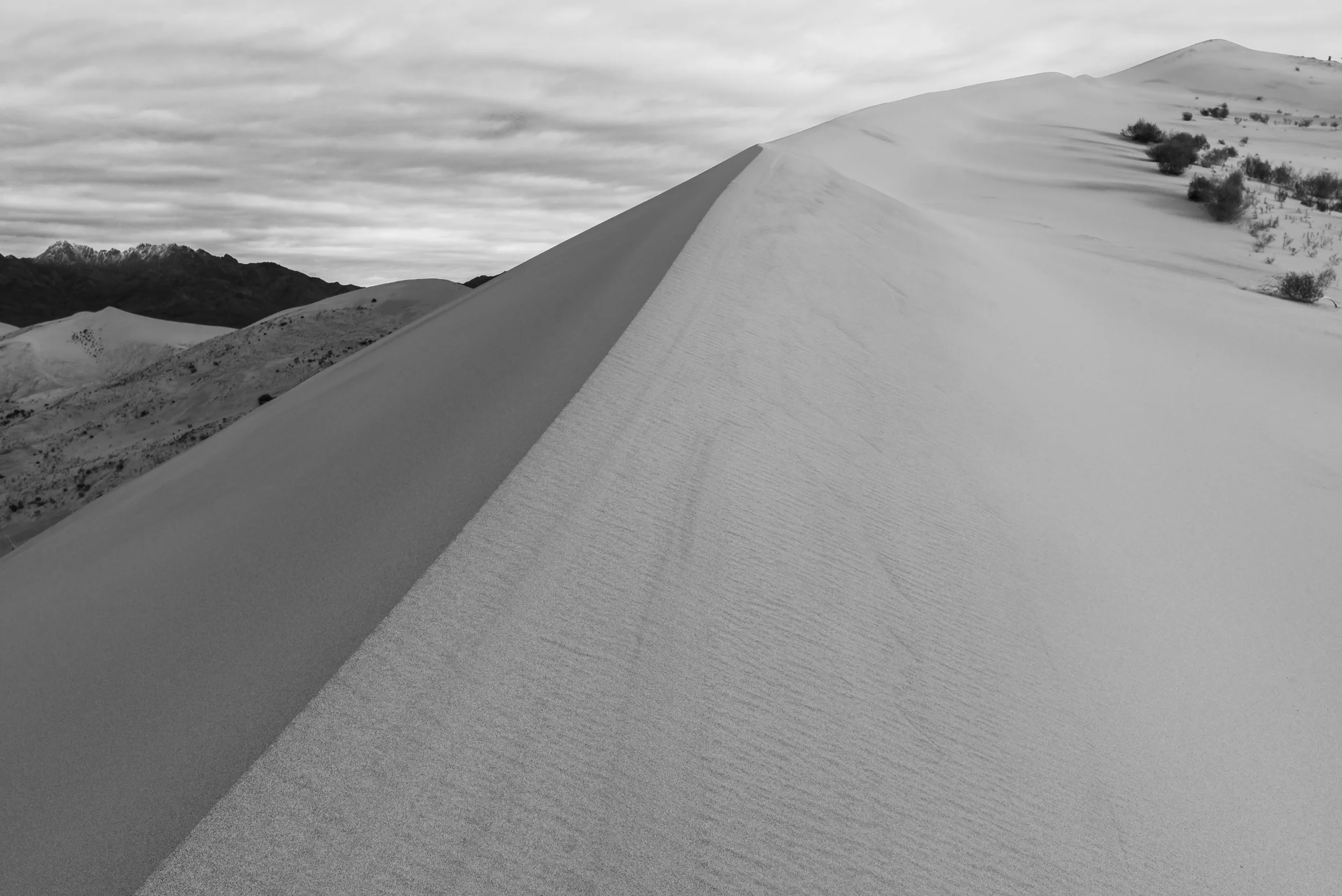 untitled-26-2-Edit.jpg