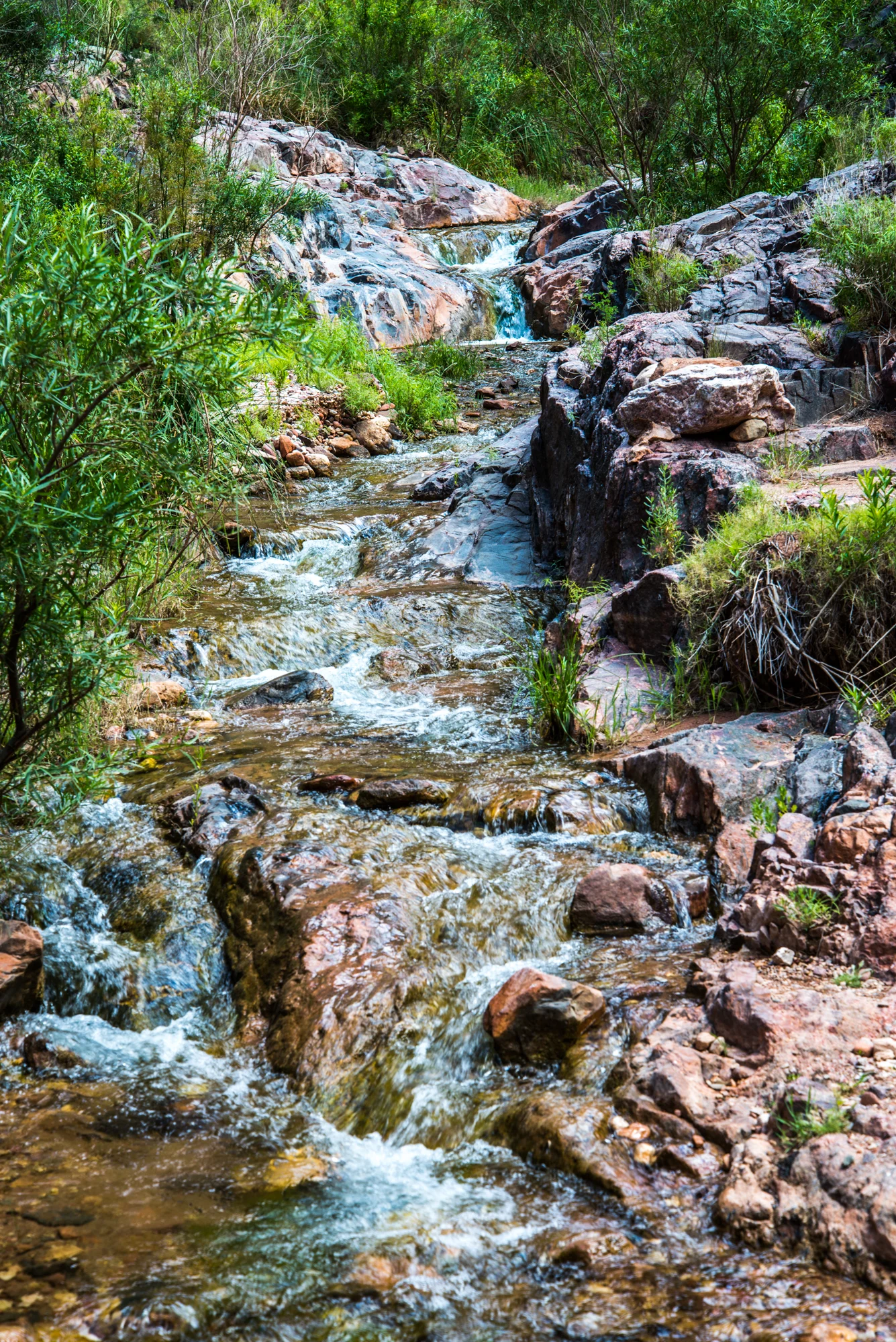 GCN_Hike-124.jpg