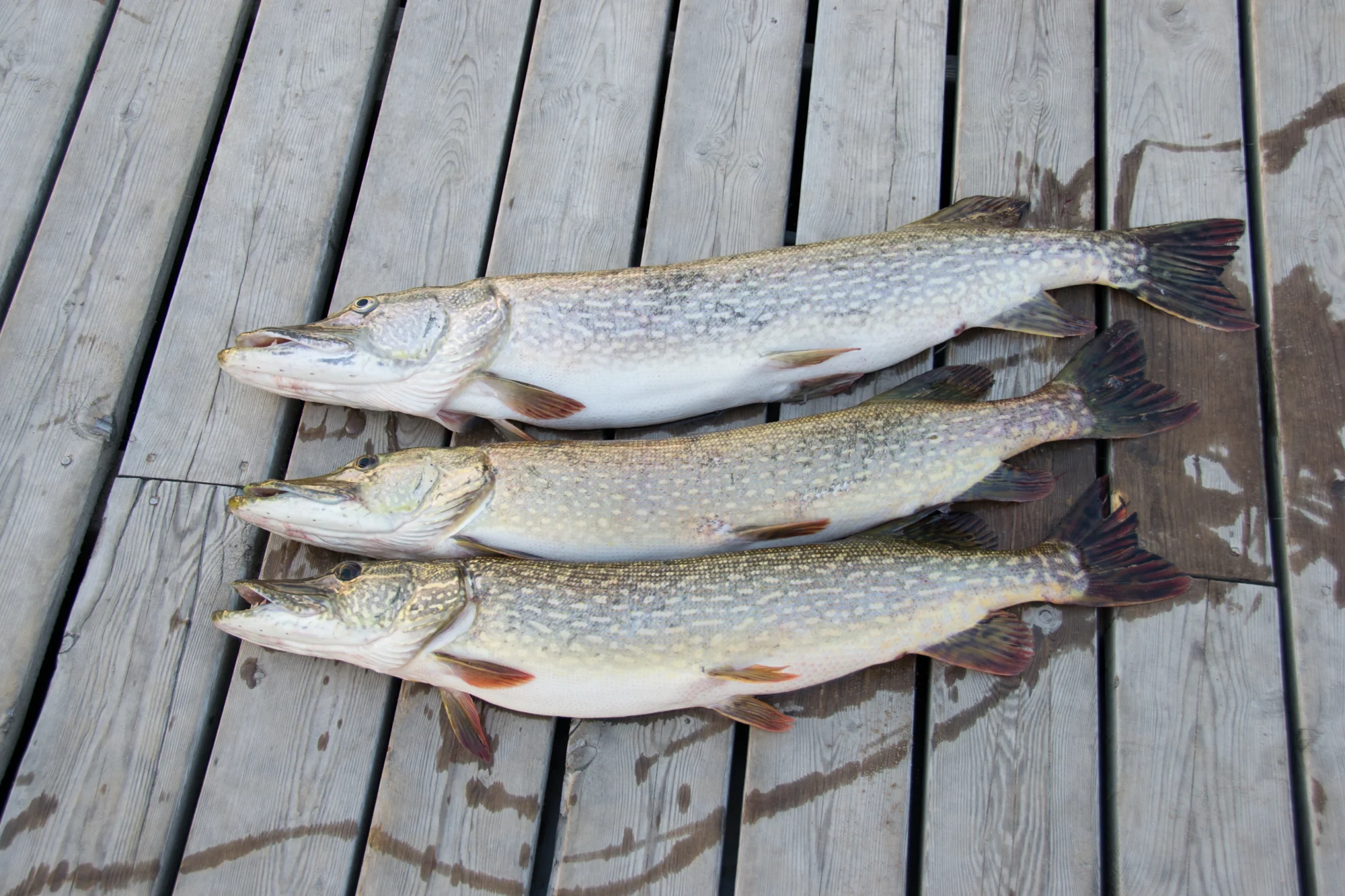 Canada2013-182.jpg