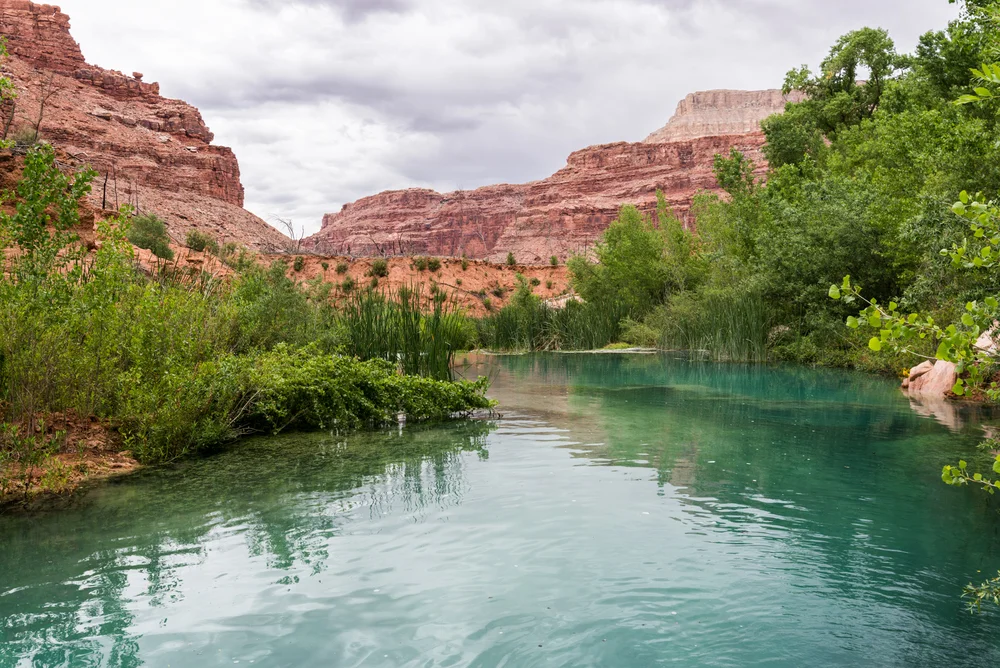 Downstream of Navajo Falls