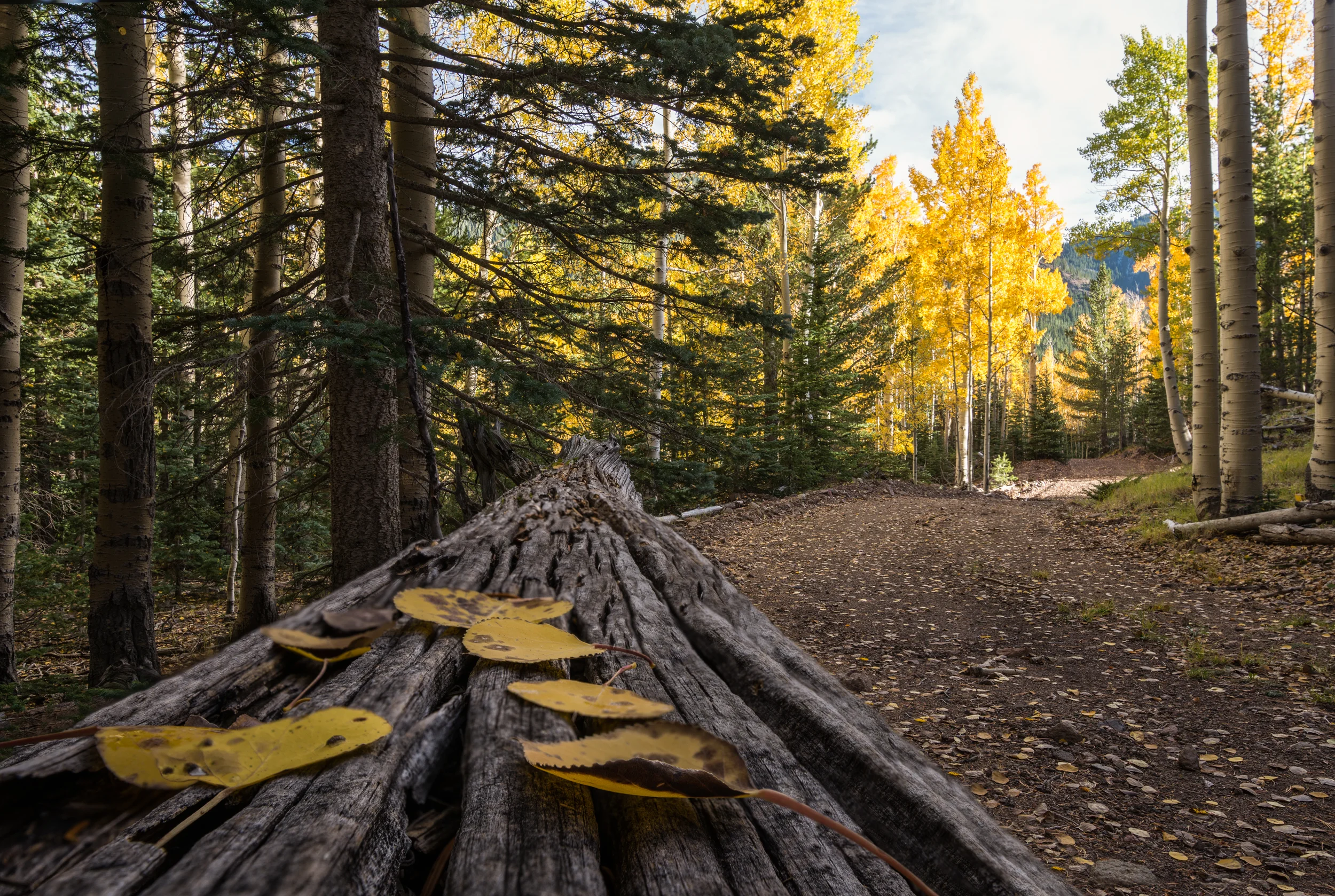 Inner Basin Fall 2016-120-Edit-Edit.jpg