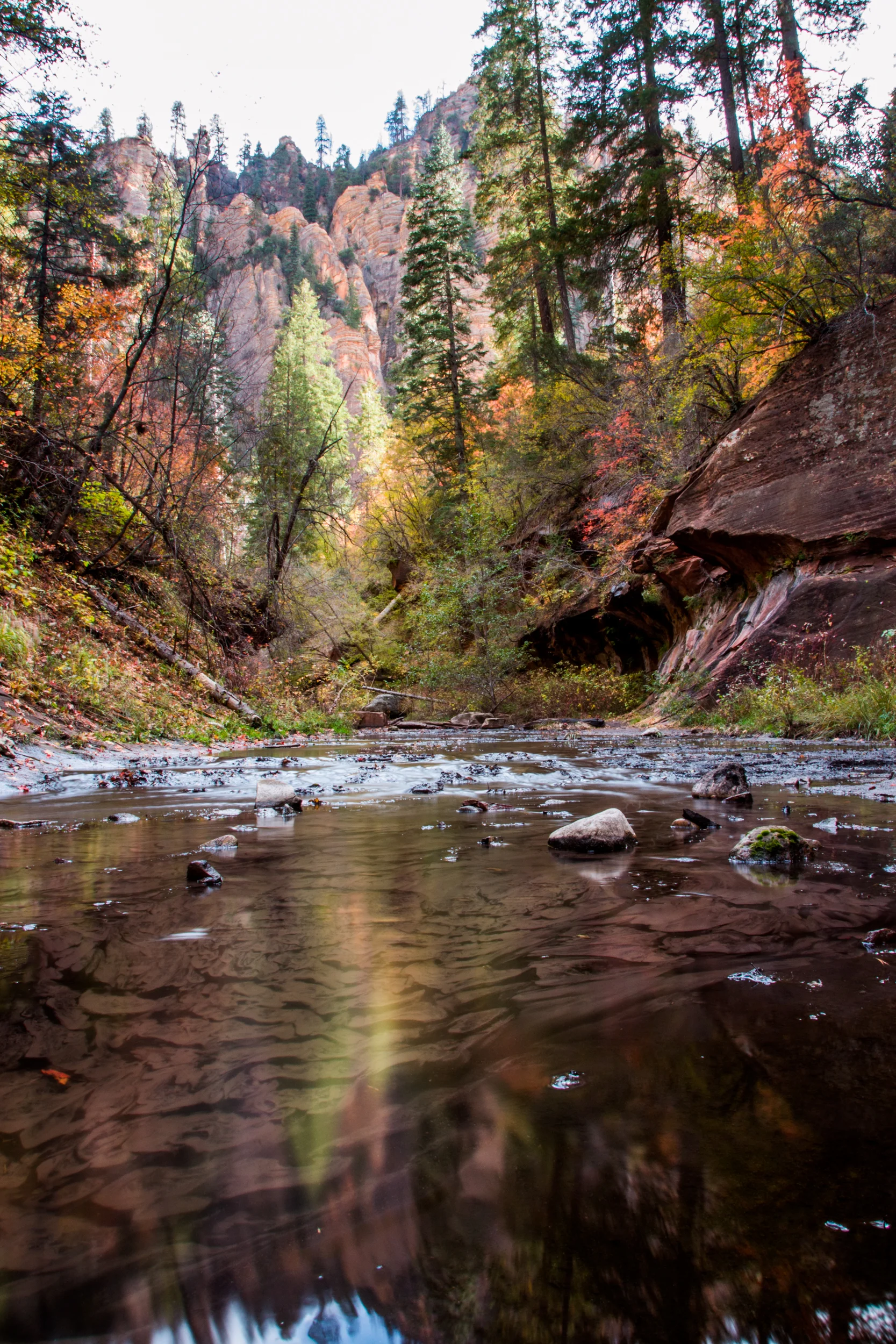 WF Oak Creek Canyon-94.jpg