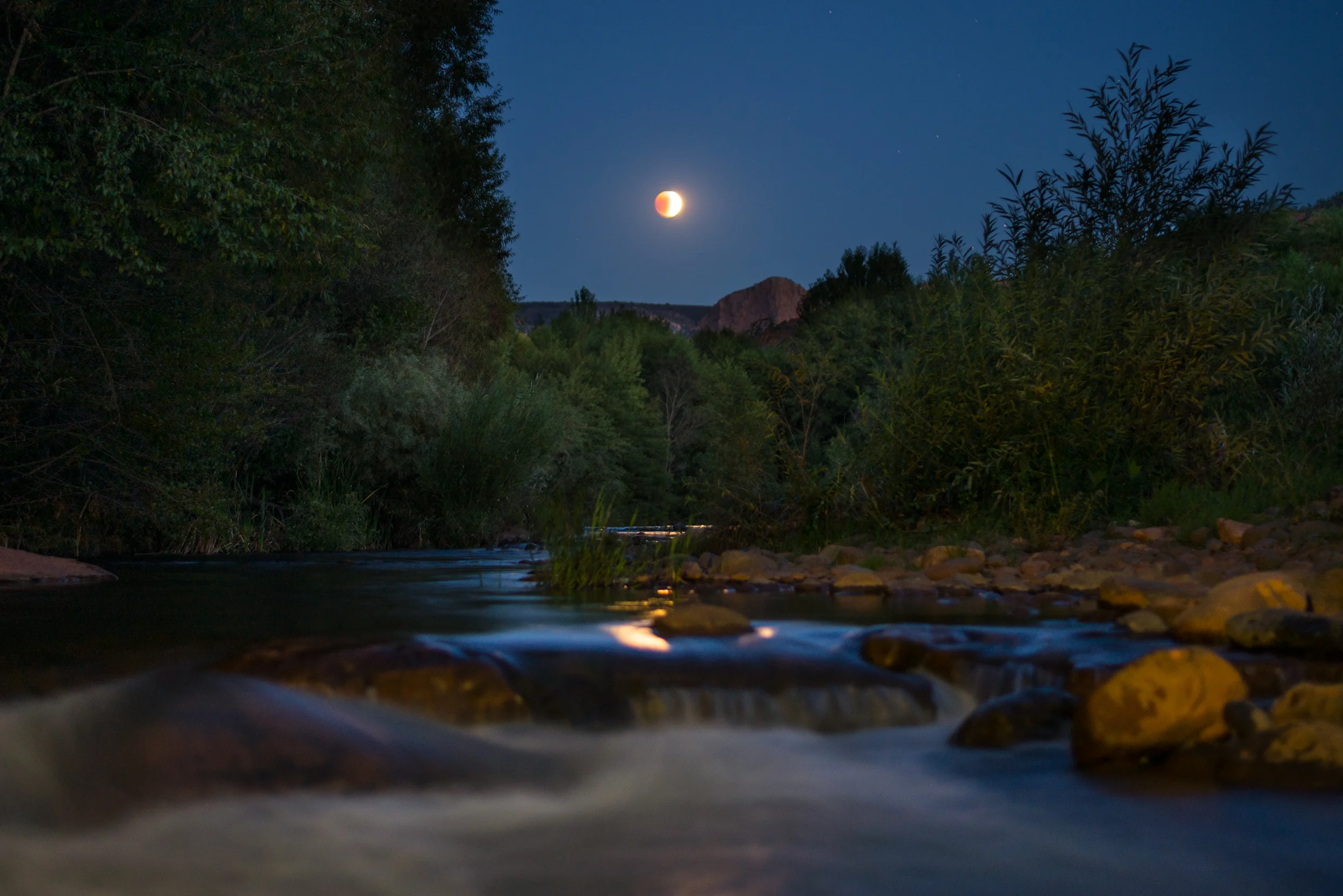 Blood Moon Rising