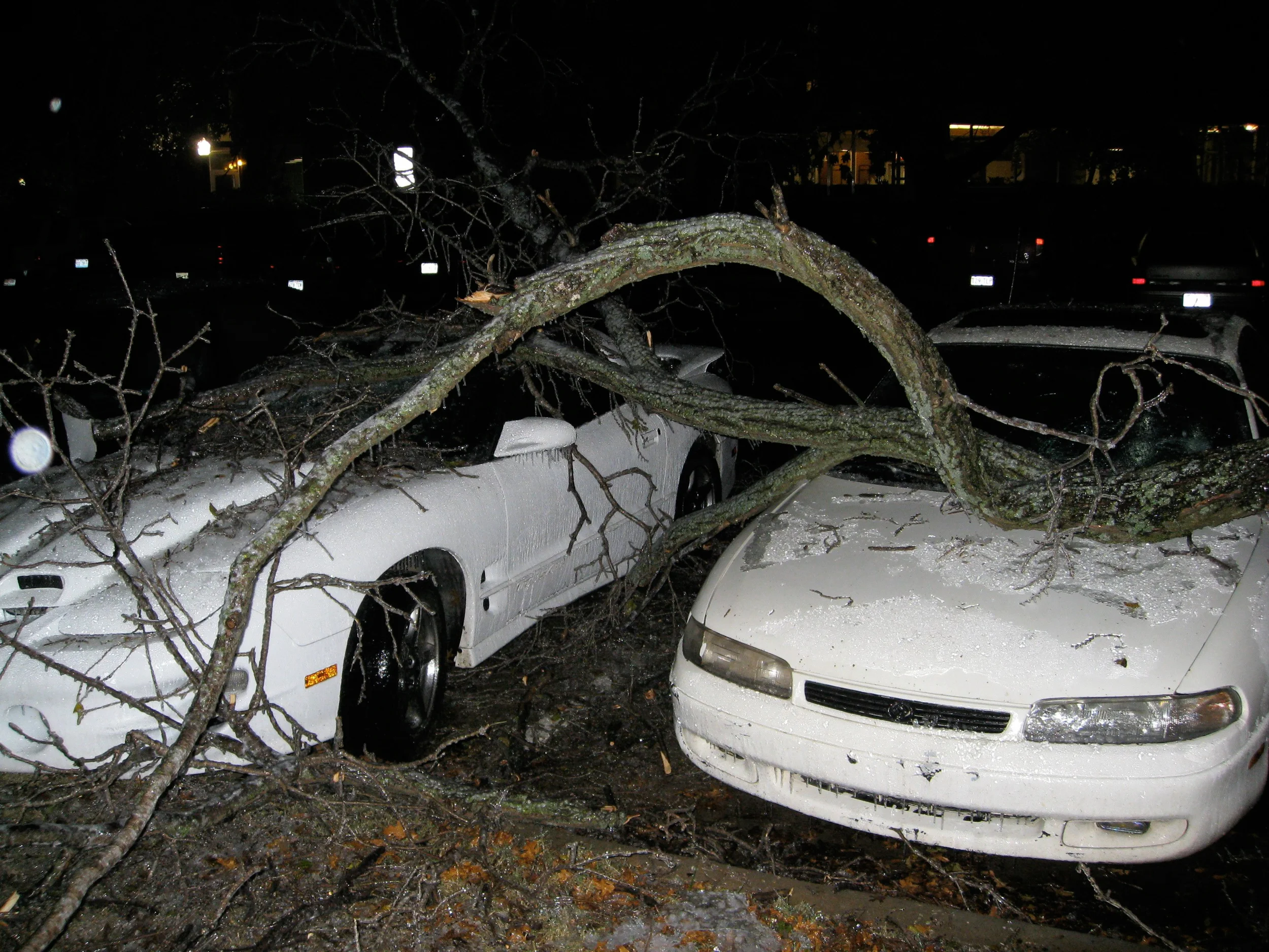 Cars Smashed.jpg