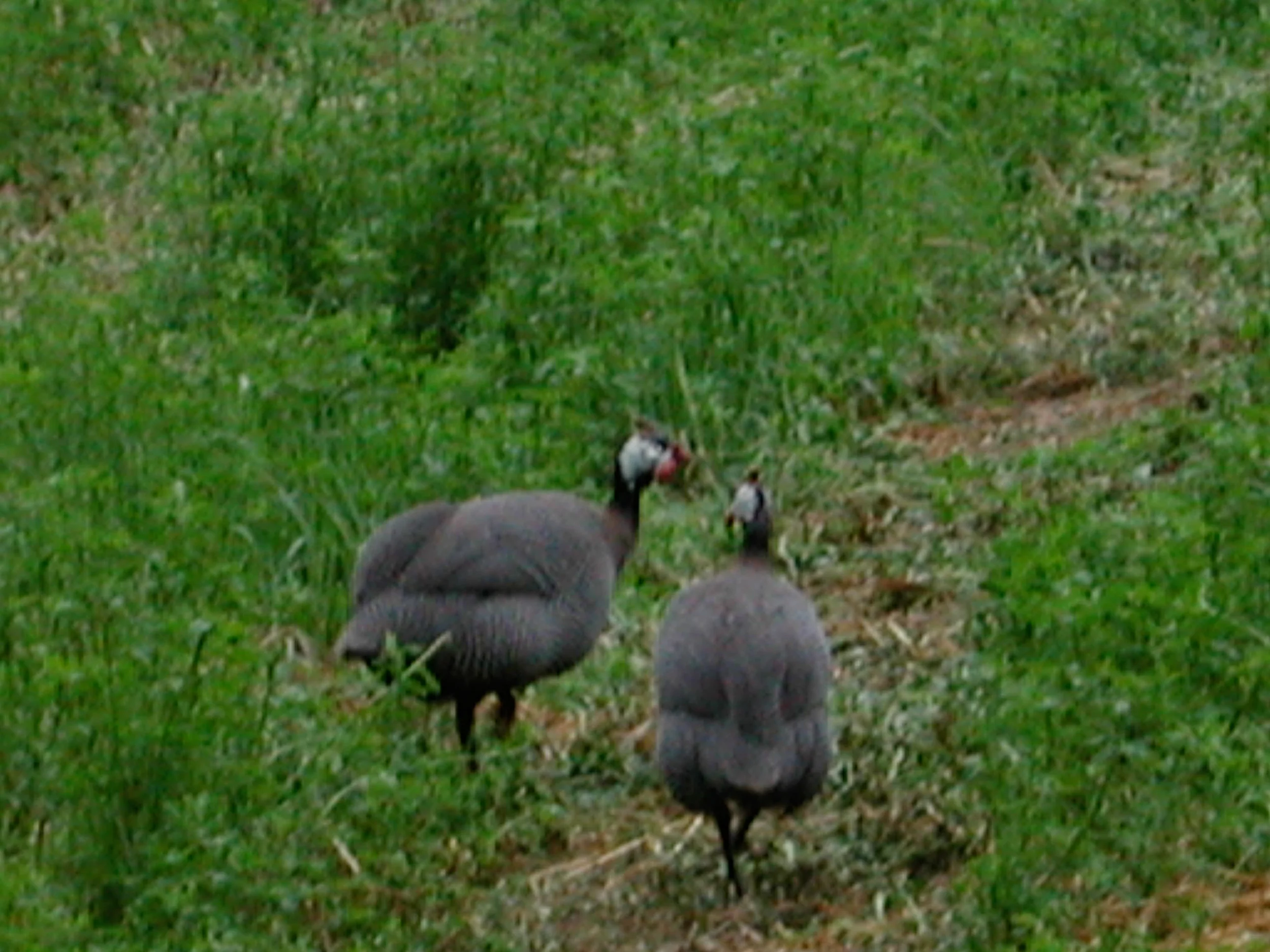 Europe-Trip-2004-11.jpg