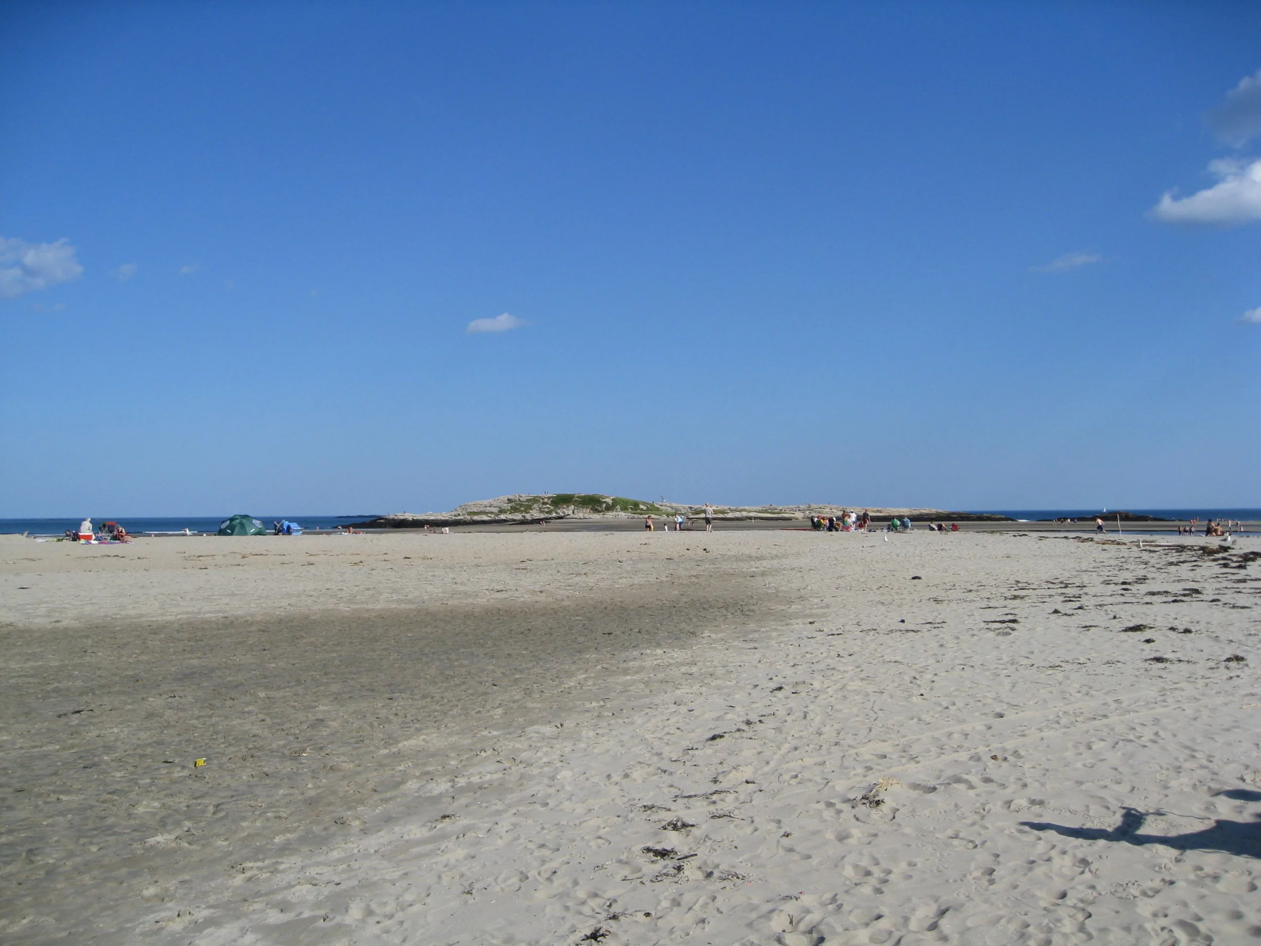IMG_1725.jpg