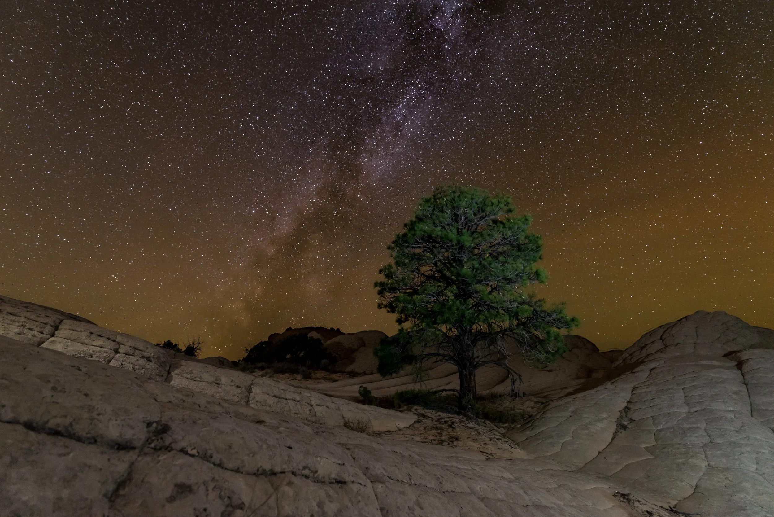 White Pocket-125-composite.jpg