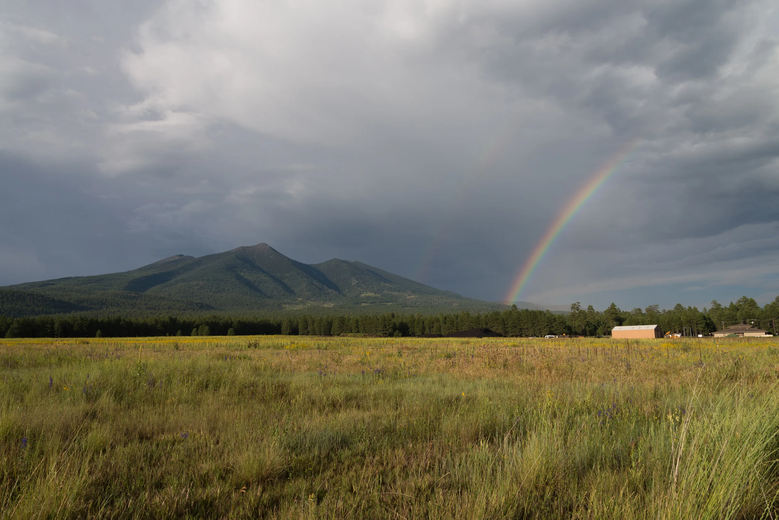 Storm Chasing-93-2.jpg