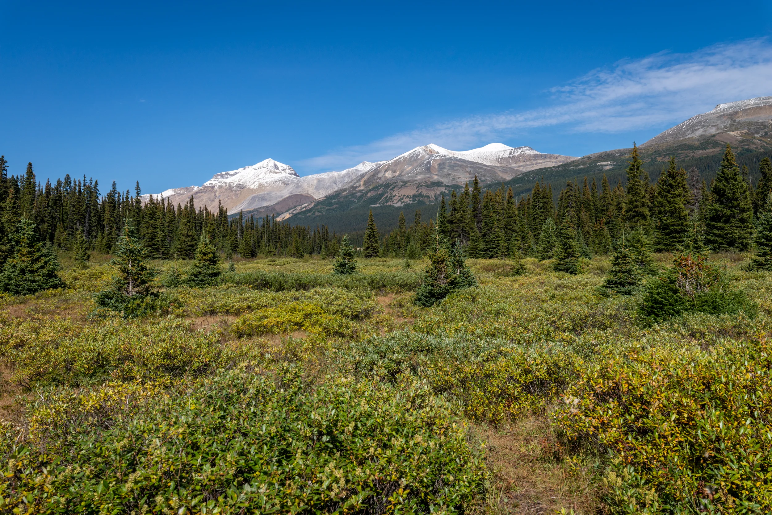 DSC_4587.jpg