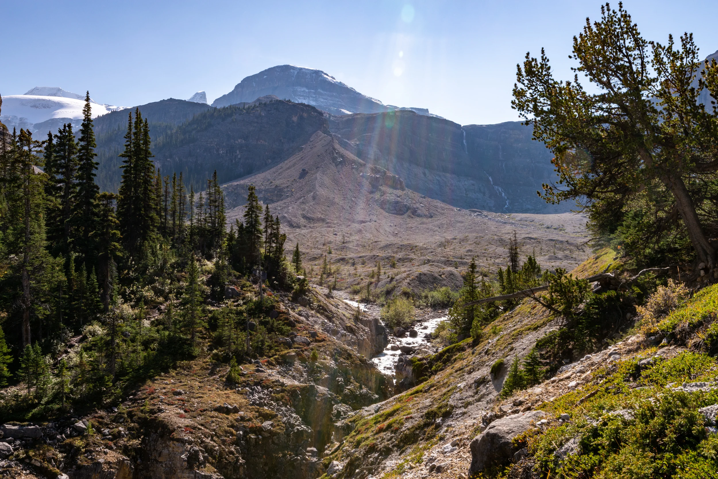 DSC_4625.jpg