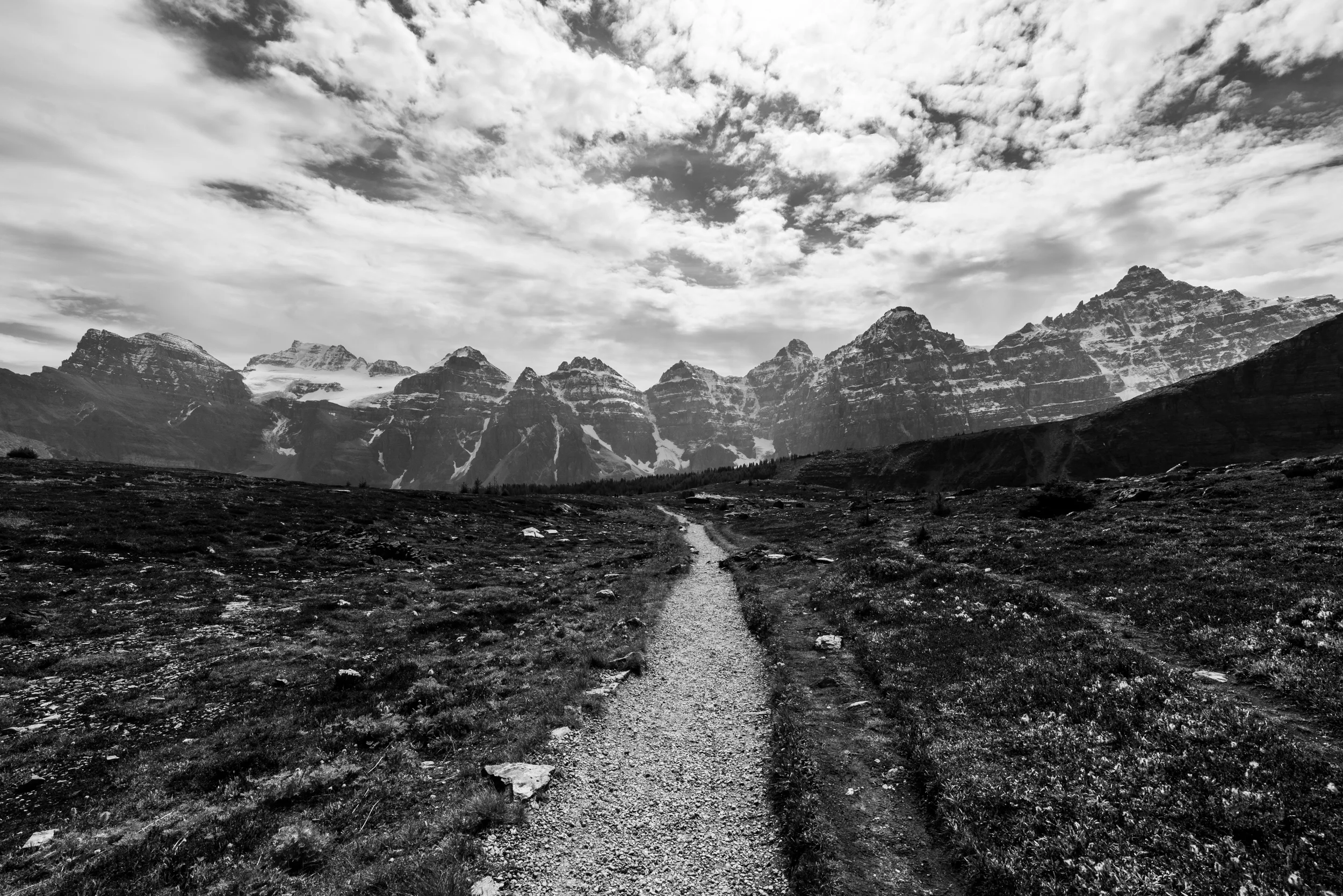 DSC_4706.jpg