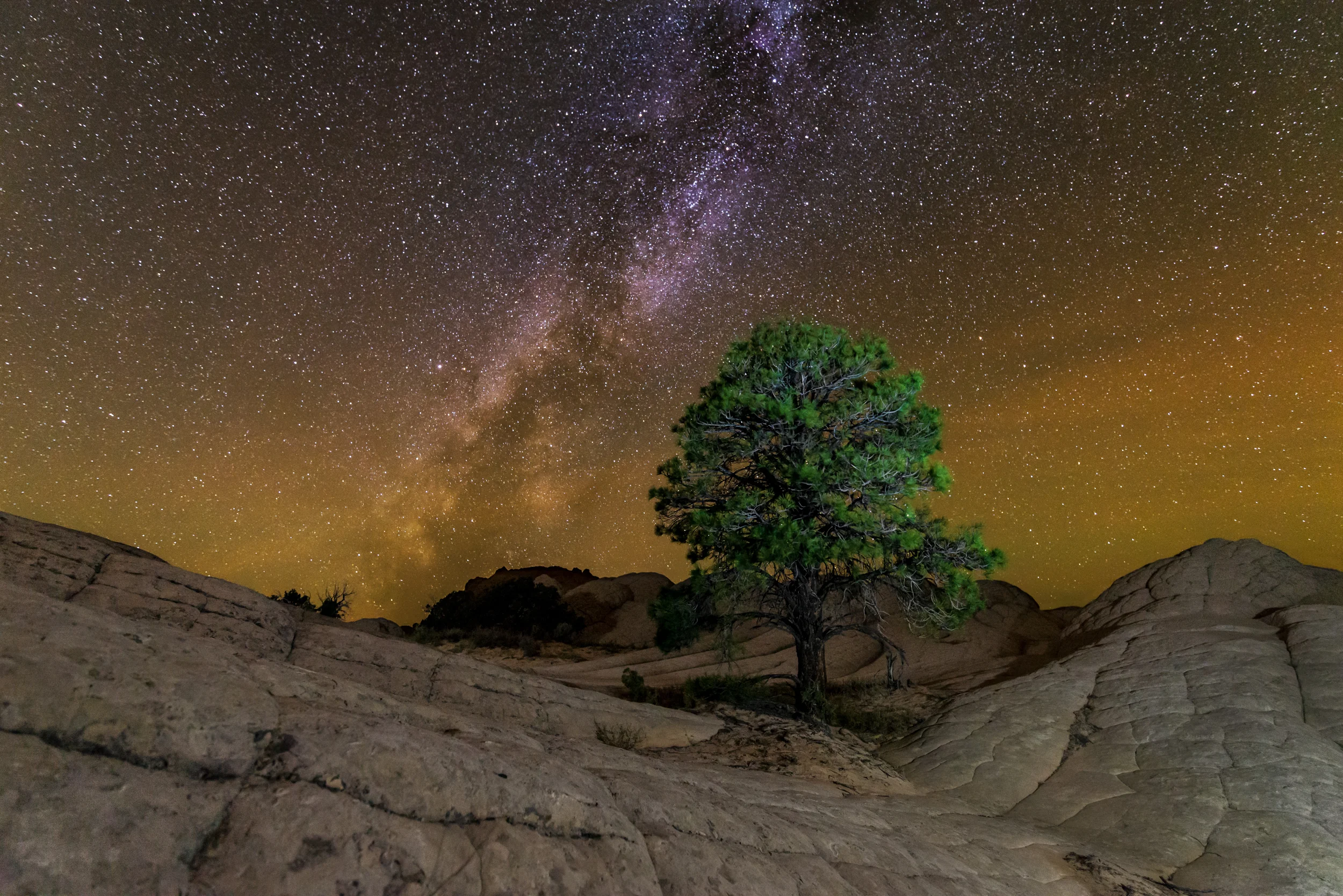 White Pocket-125-composite-Edit-Edit-Edit.jpg
