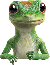 gecko-half.png