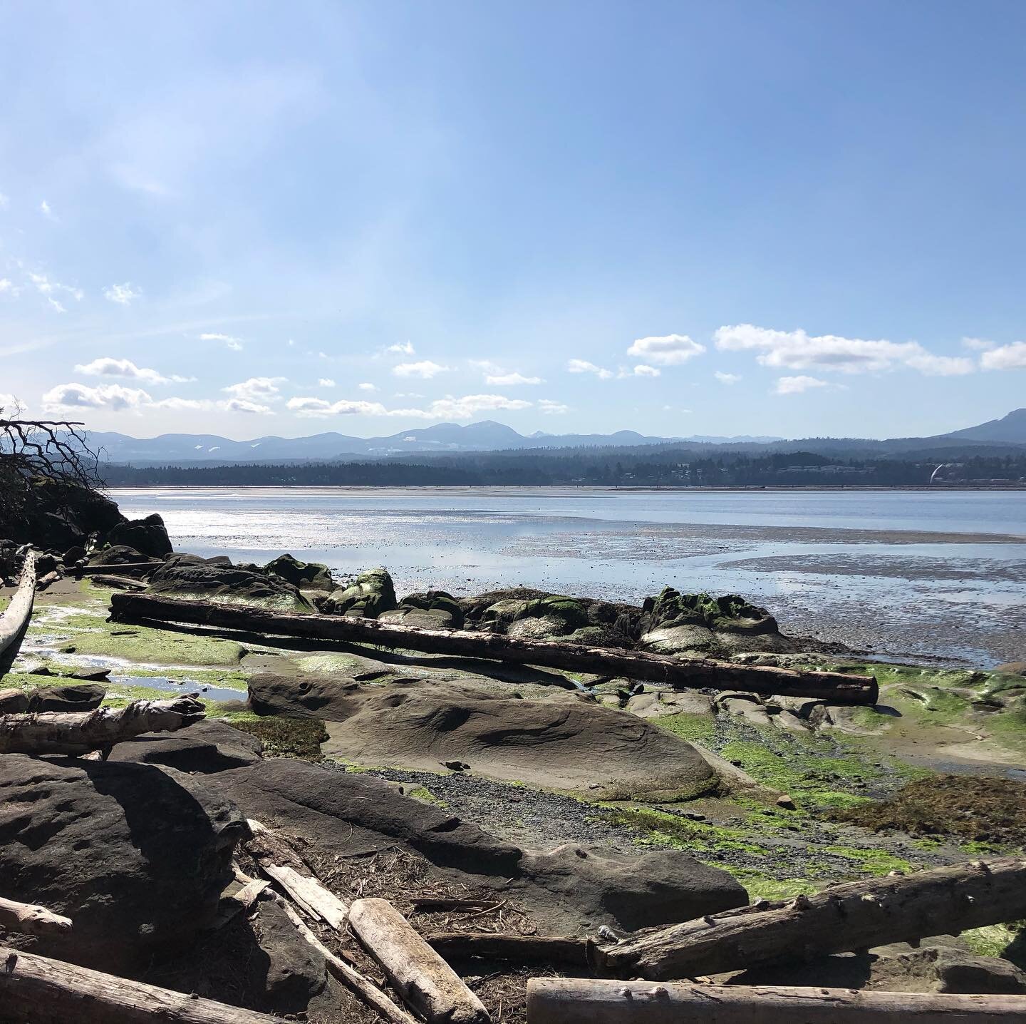 Gorgeous day today! #myfavouritespot #sunshinetherapy #mentalhealththerapy #naturephotography📷 #trailblazers #vancouverisland