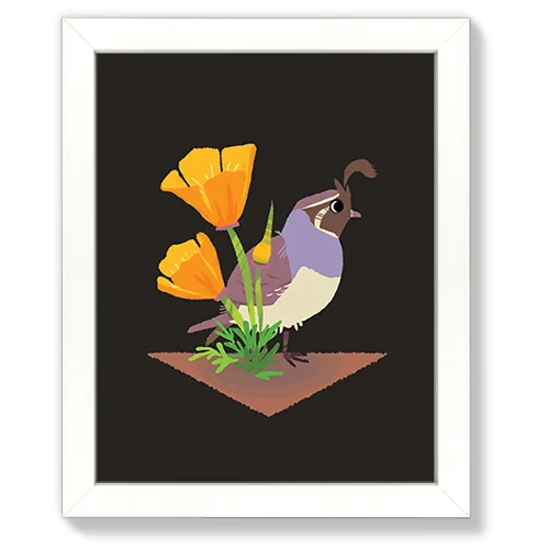 frameprintquail.jpg