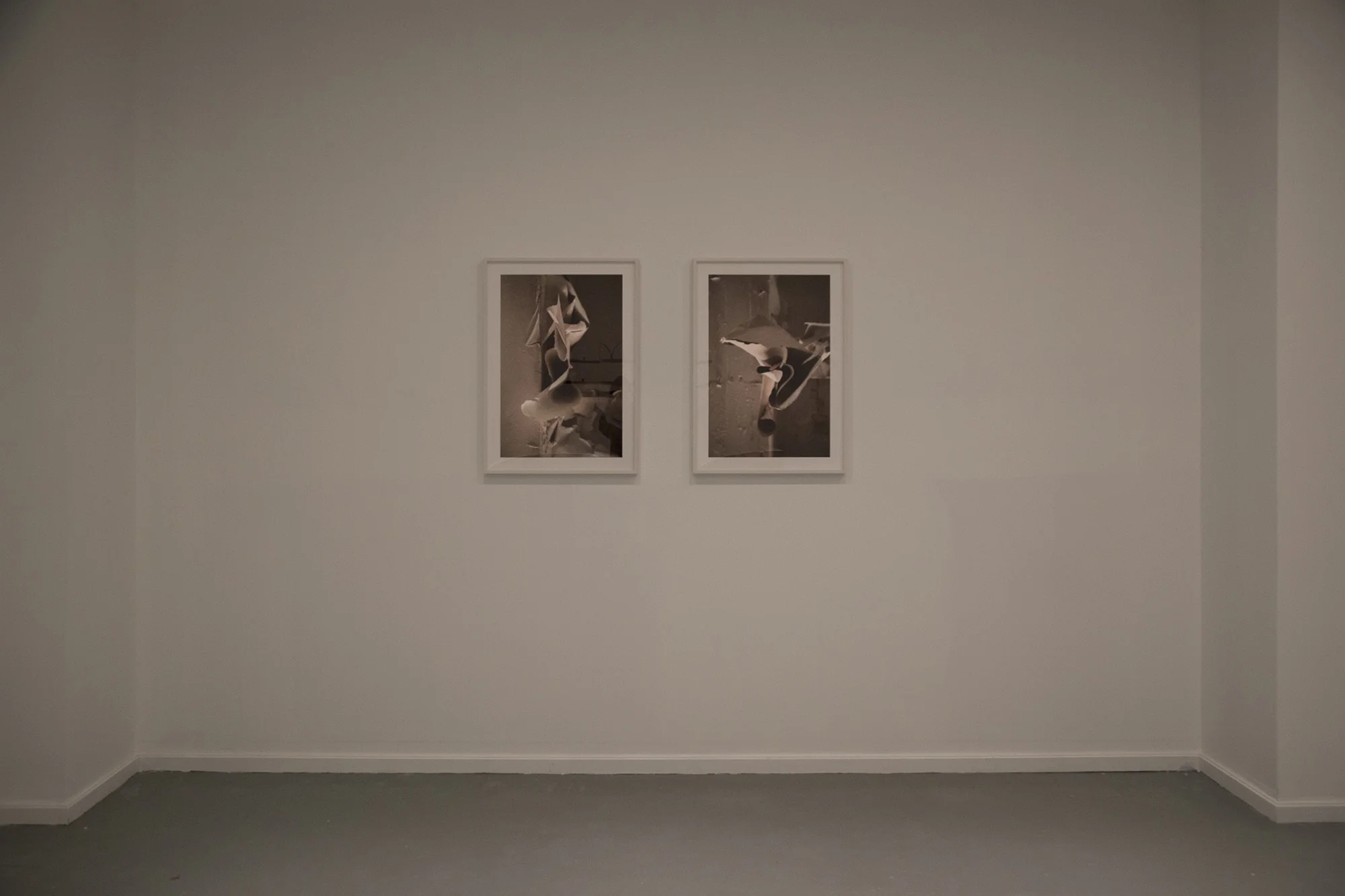 “Untitled #1” & "Untitled #2", 2015 Inkjet print 26 1/2 x 17 1/2 inches (each) Edition 1 of 5 + 2 AP