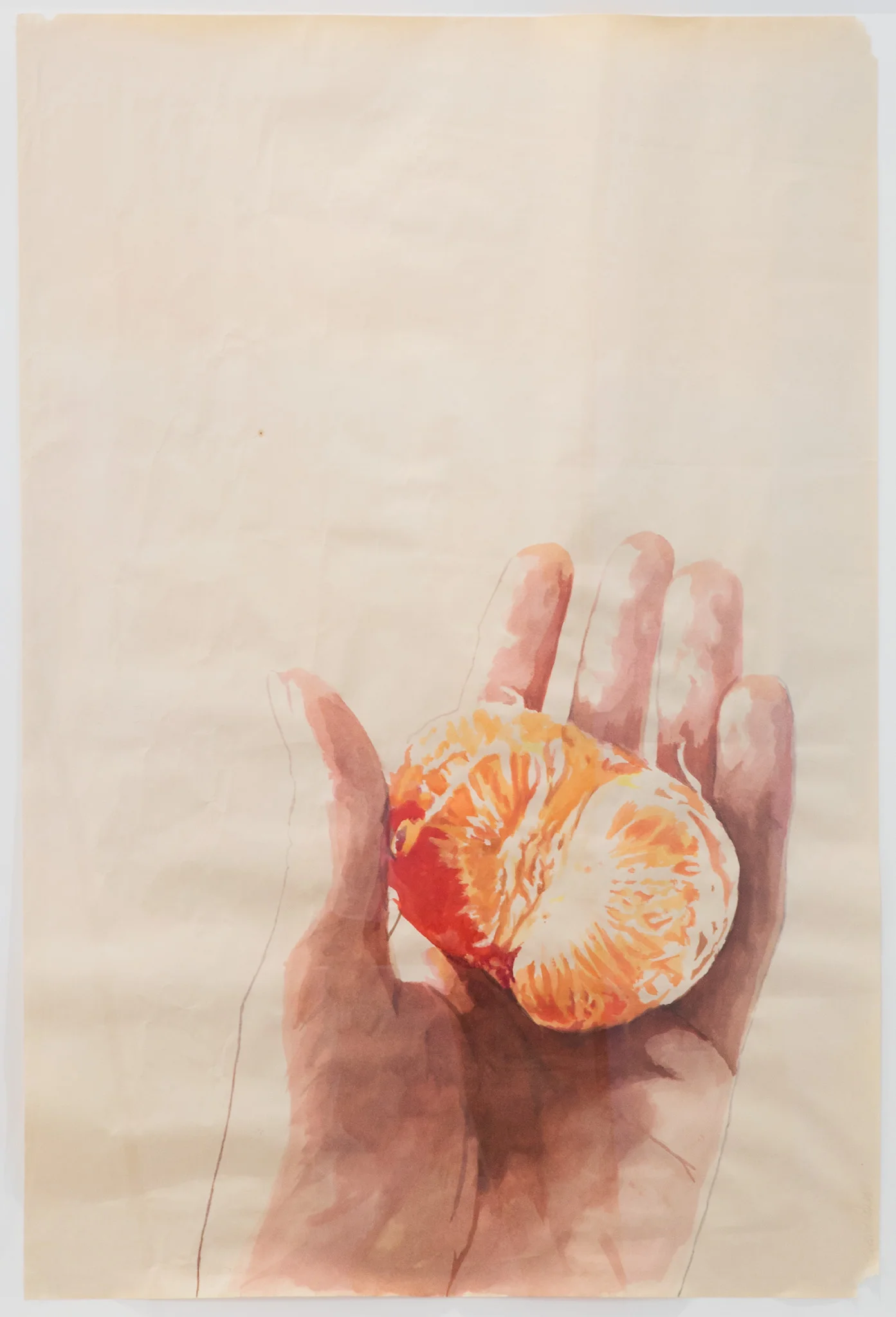Rebecca Dayan