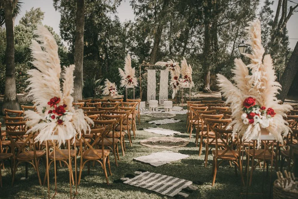 Paloma Cruz Events