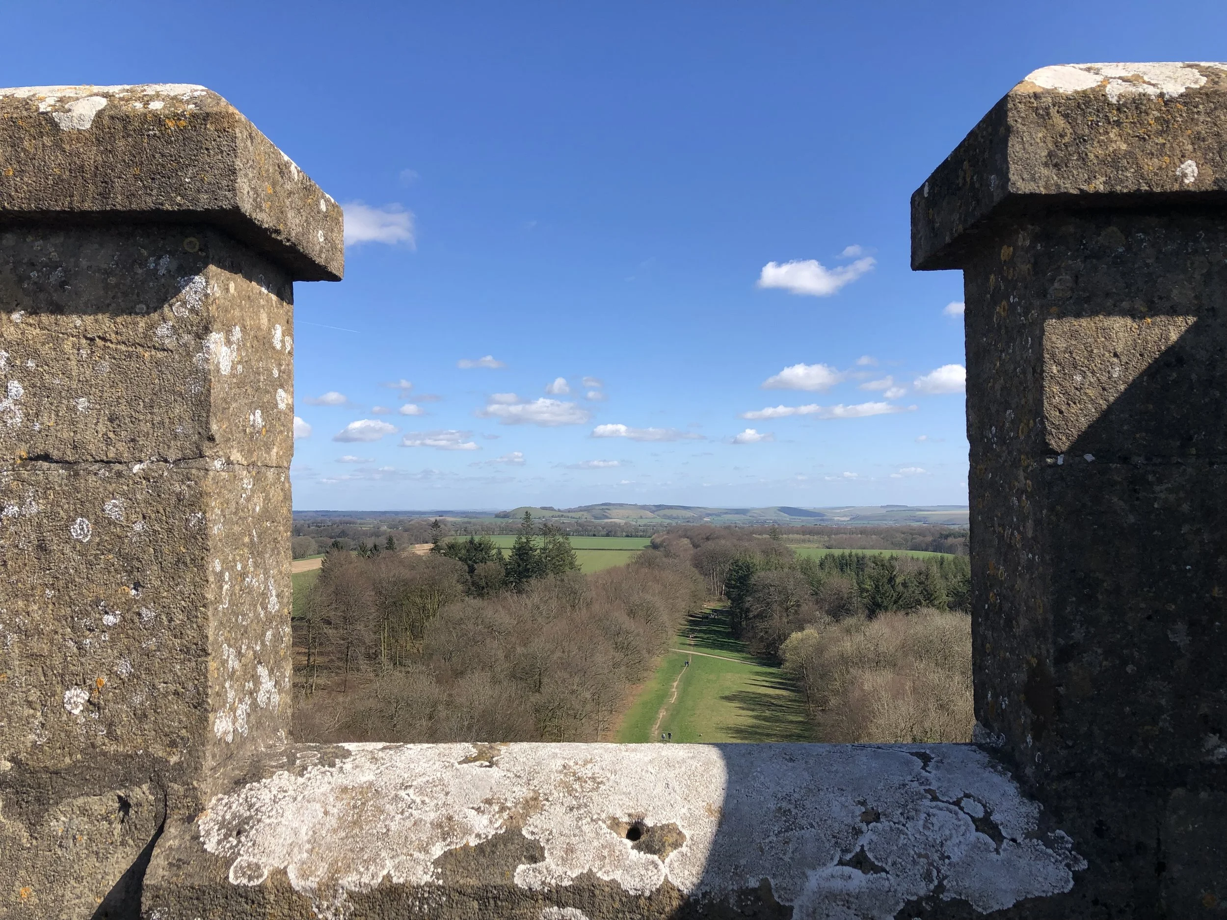 VAT, visitors and value… how HMRC hampers decarbonising strategies