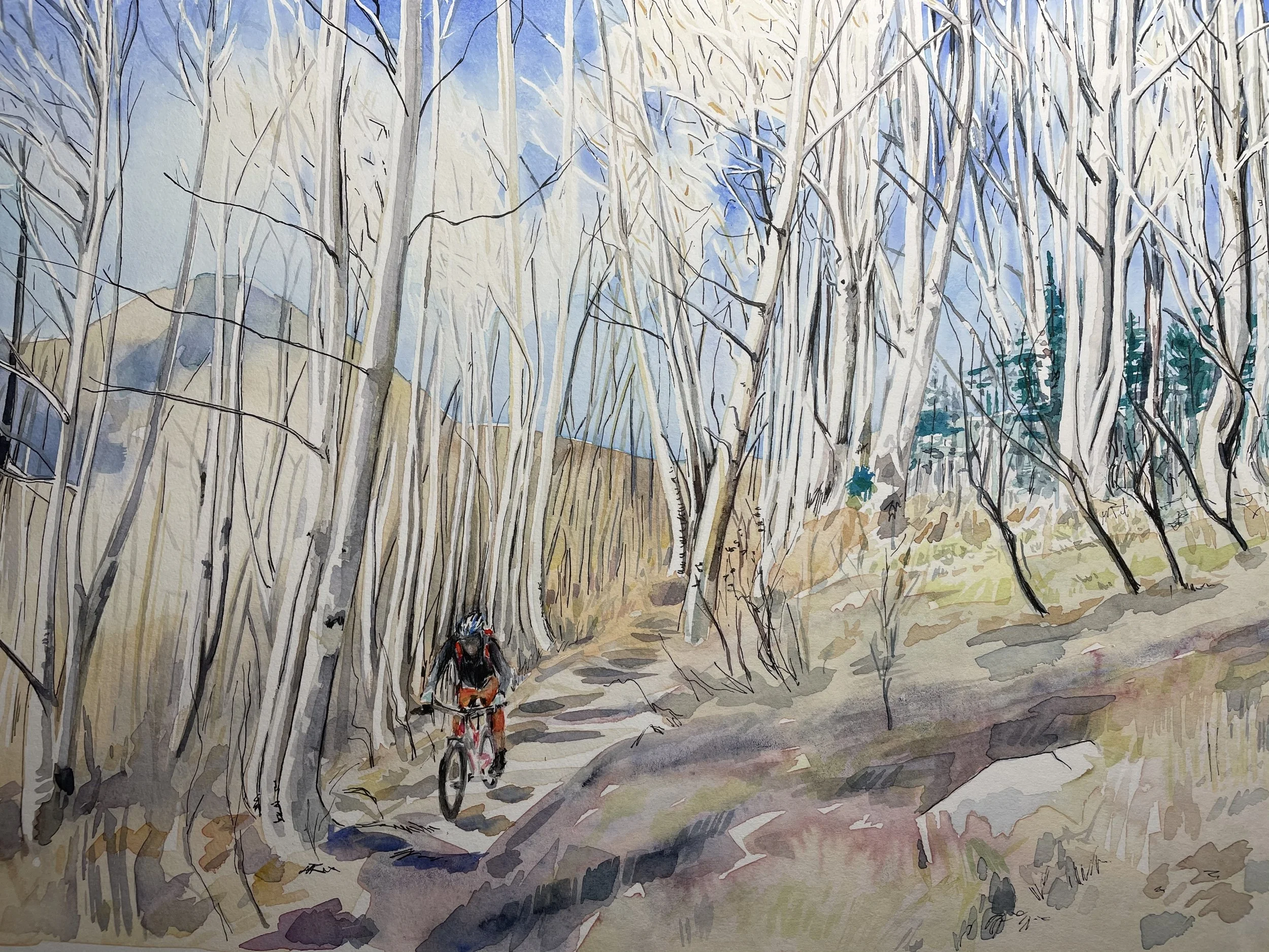 Watercolor painting depicting a forest scene with tall, leafless trees and a wide dirt trail with a cyclist riding through it. There are mountains in the background, and the sky is blue with hints of clouds.