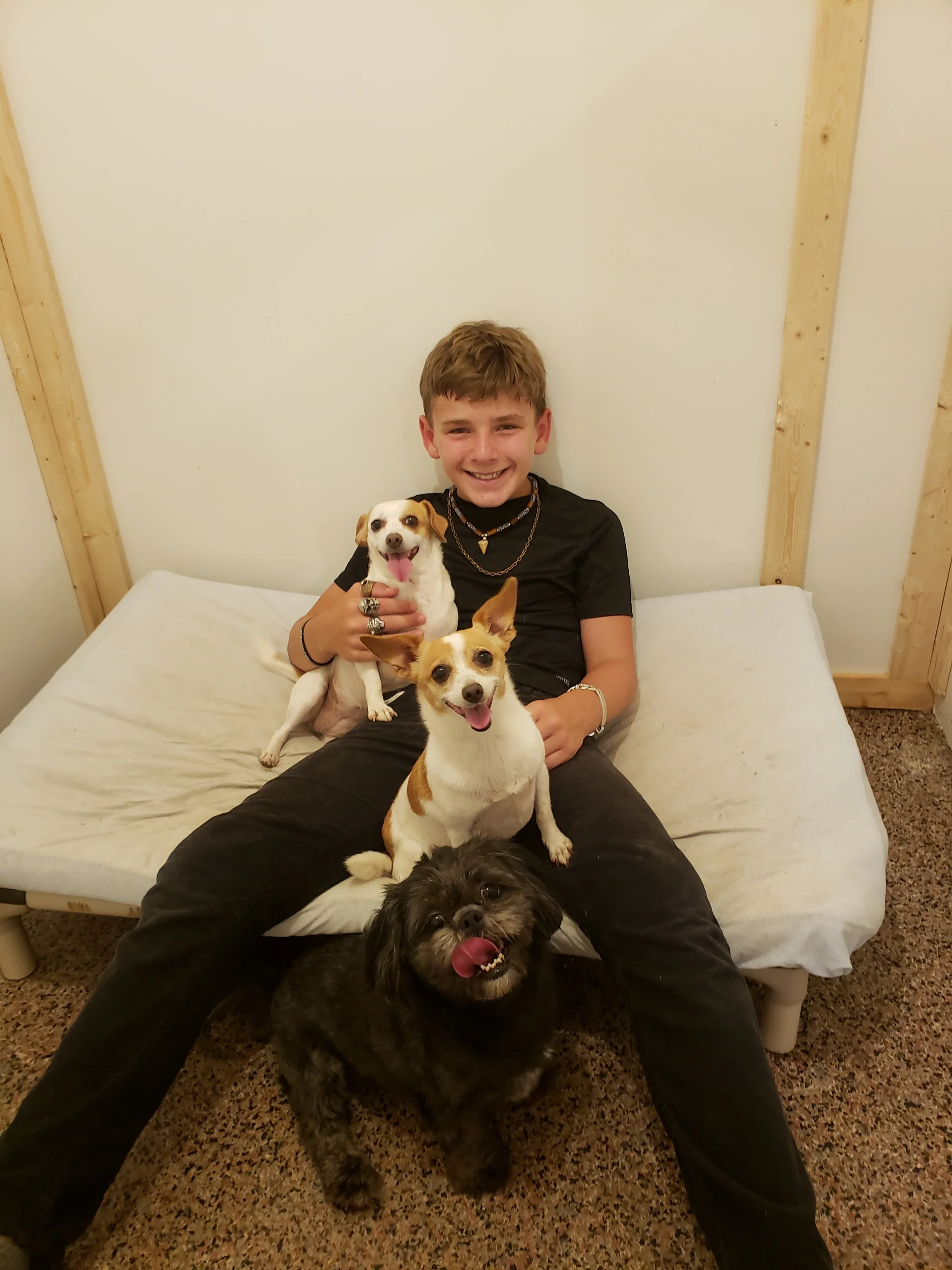 Dog Boarding — HiC Farms and Kennels