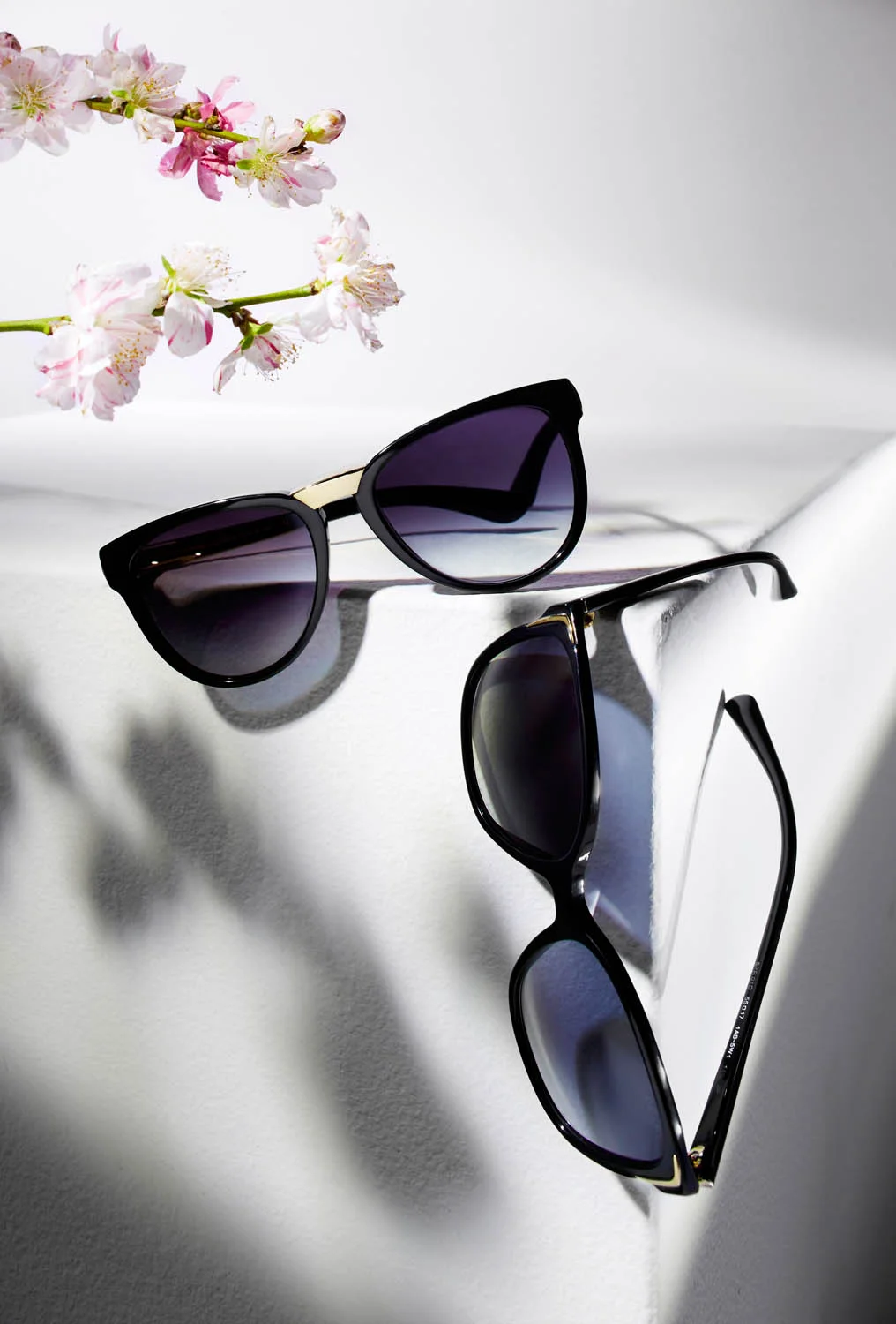 C1497072-Sunnies-HeroWithFlowers.jpg