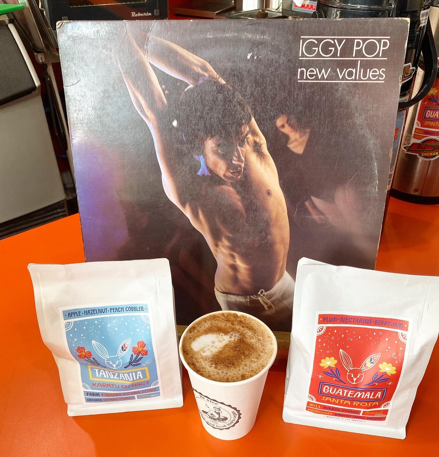 The sun's coming out! Come satiate your need for vegan hot chocolate and Iggy Pop